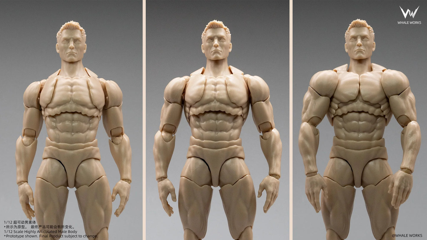 (Pre-Order) Whale Works 1/12 Super Articulated Male Body ASH action figure