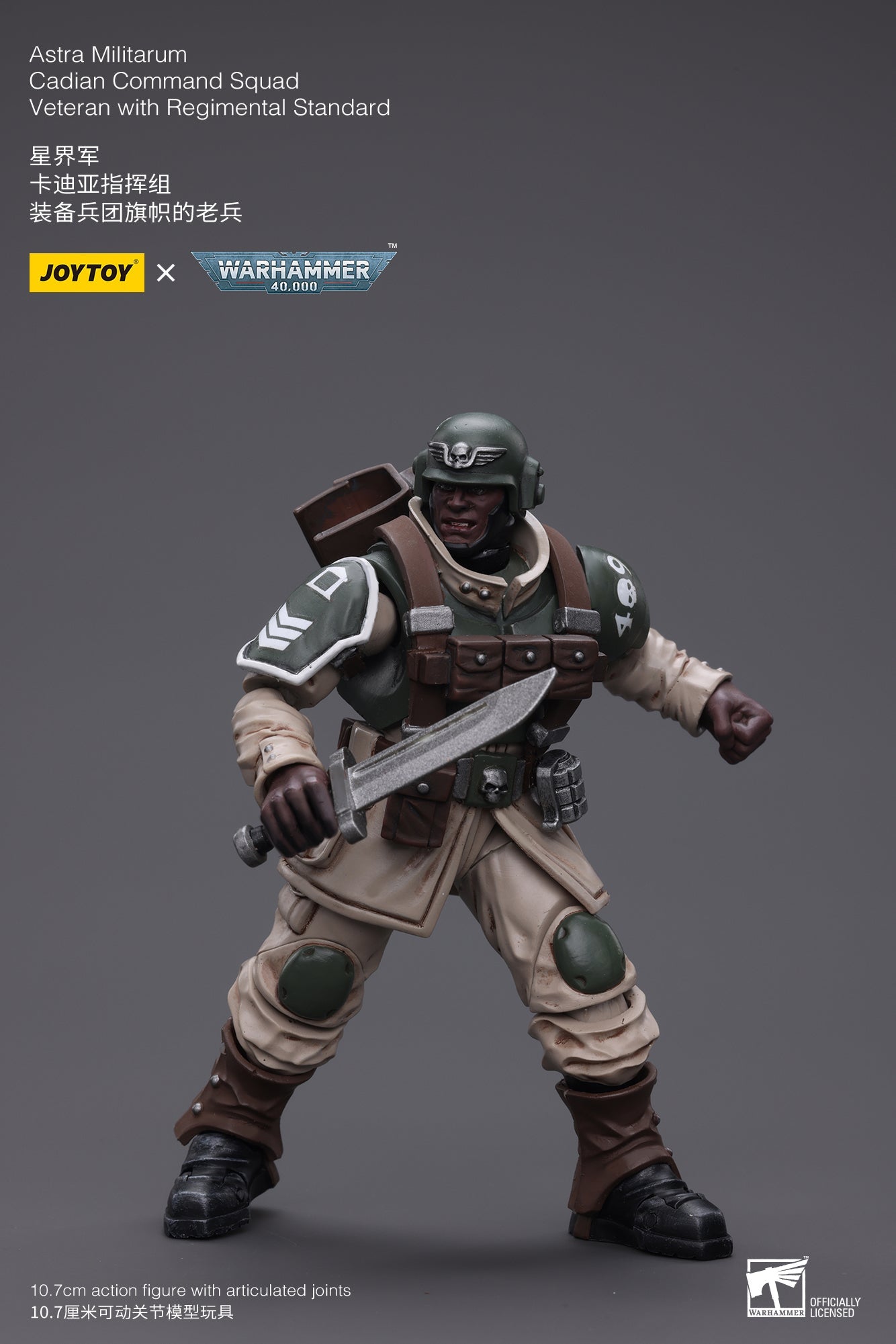 Warhammer 40K Astra Militarum Cadian Command Squad Veteran with Regimental Standard (In Stock)