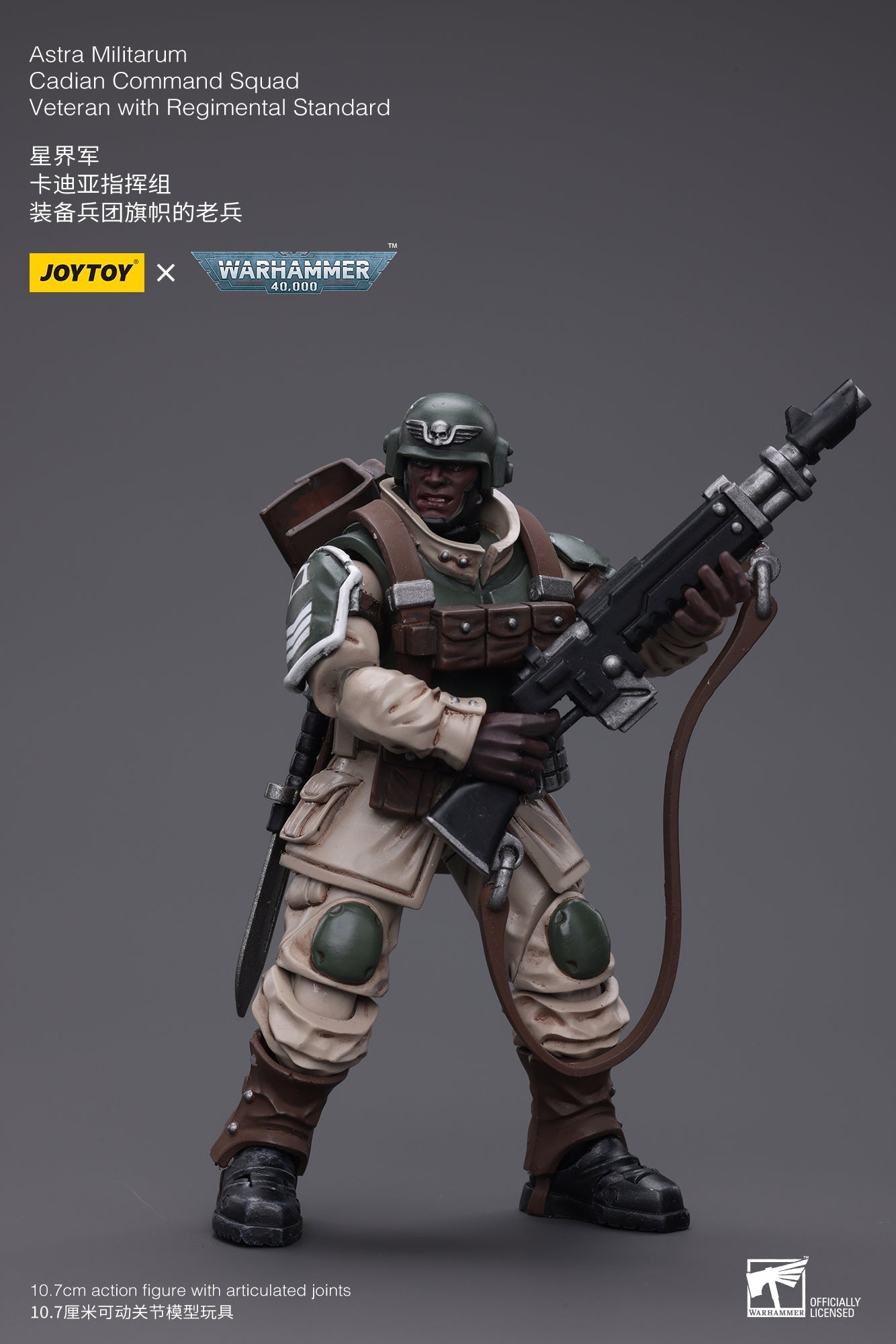 Warhammer 40K Astra Militarum Cadian Command Squad Veteran with Regimental Standard (In Stock)