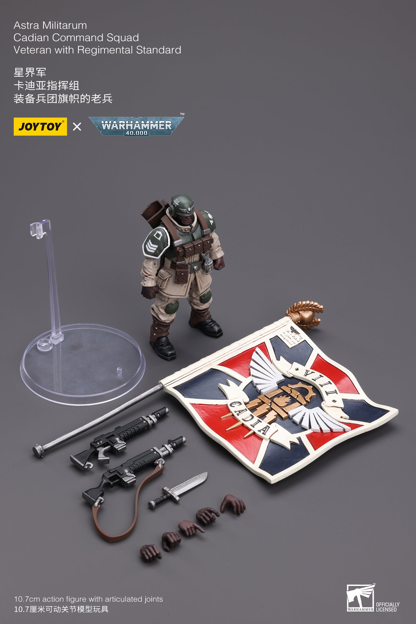 Warhammer 40K Astra Militarum Cadian Command Squad Veteran with Regimental Standard (In Stock)