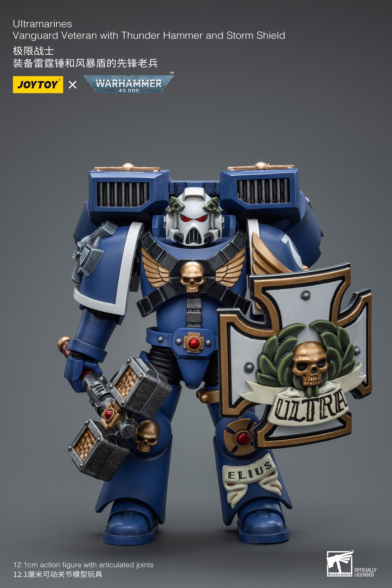 Warhammer 40K Ultramarines Vanguard Veteran with Thunder Hammer and Storm Shield (In Stock)