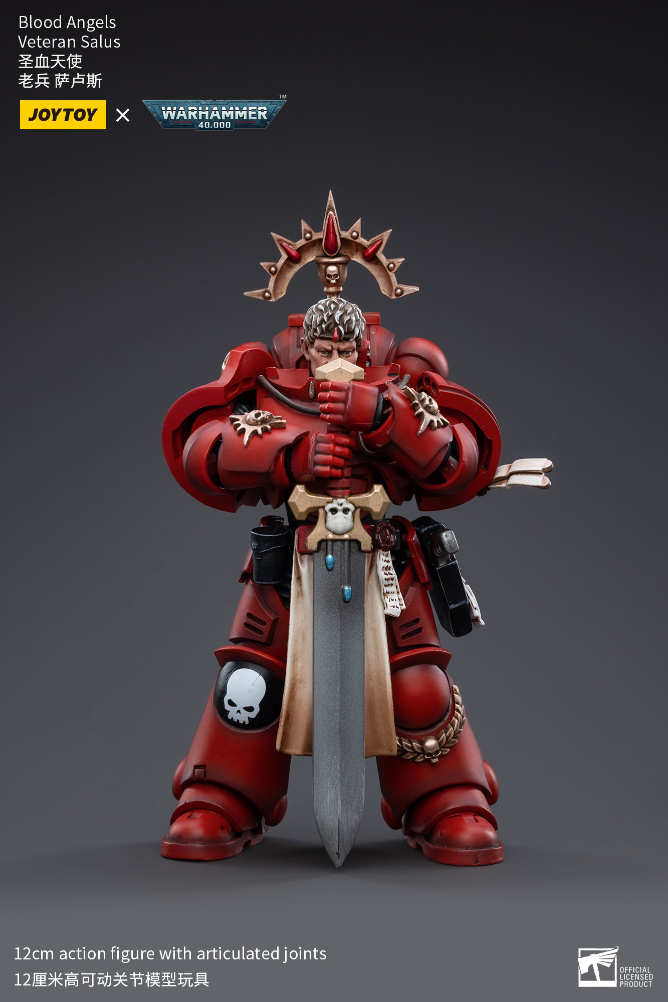 Warhammer 40k Blood Angels Veteran Salus (In Stock)