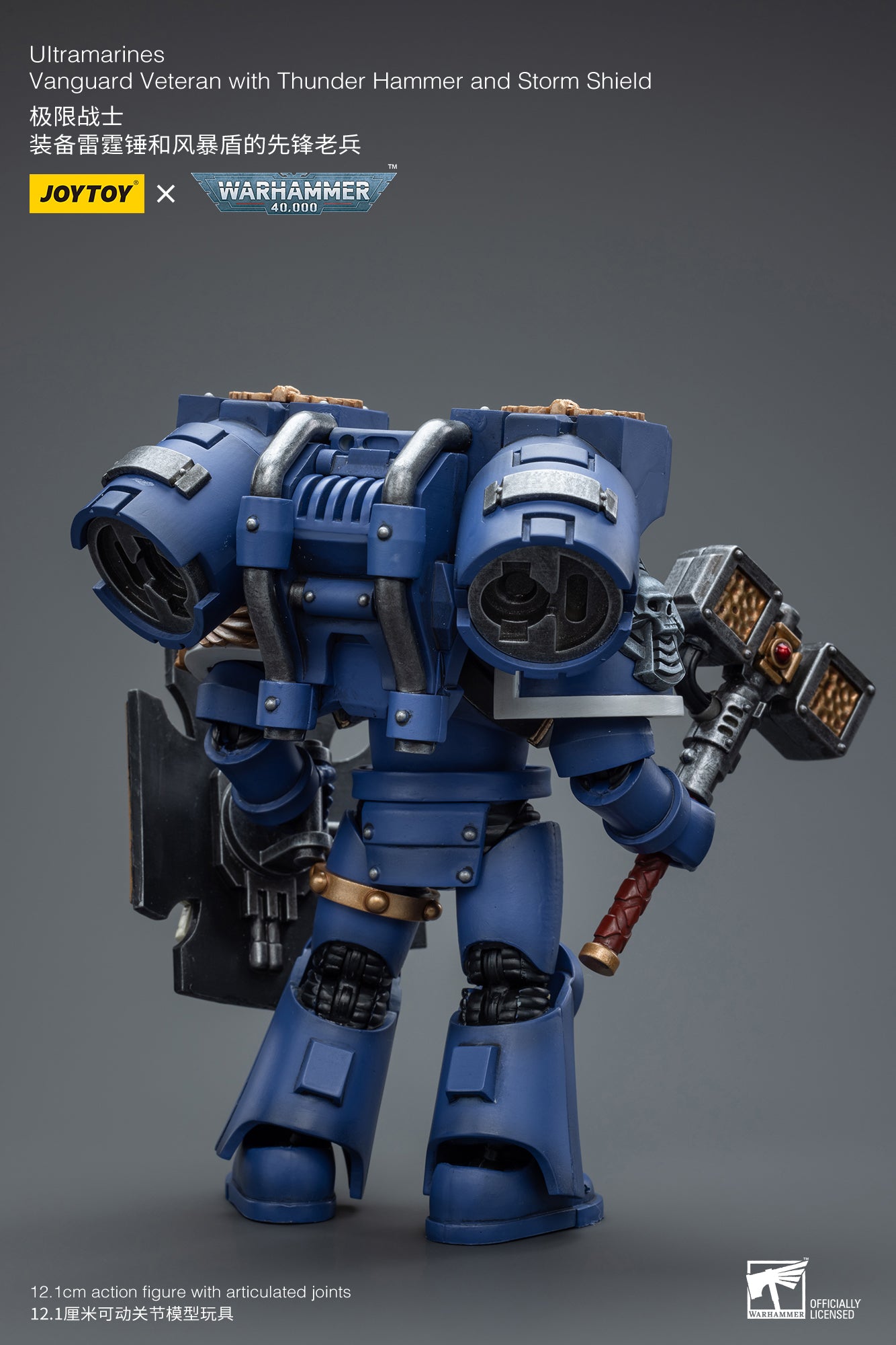 Warhammer 40K Ultramarines Vanguard Veteran with Thunder Hammer and Storm Shield (In Stock)