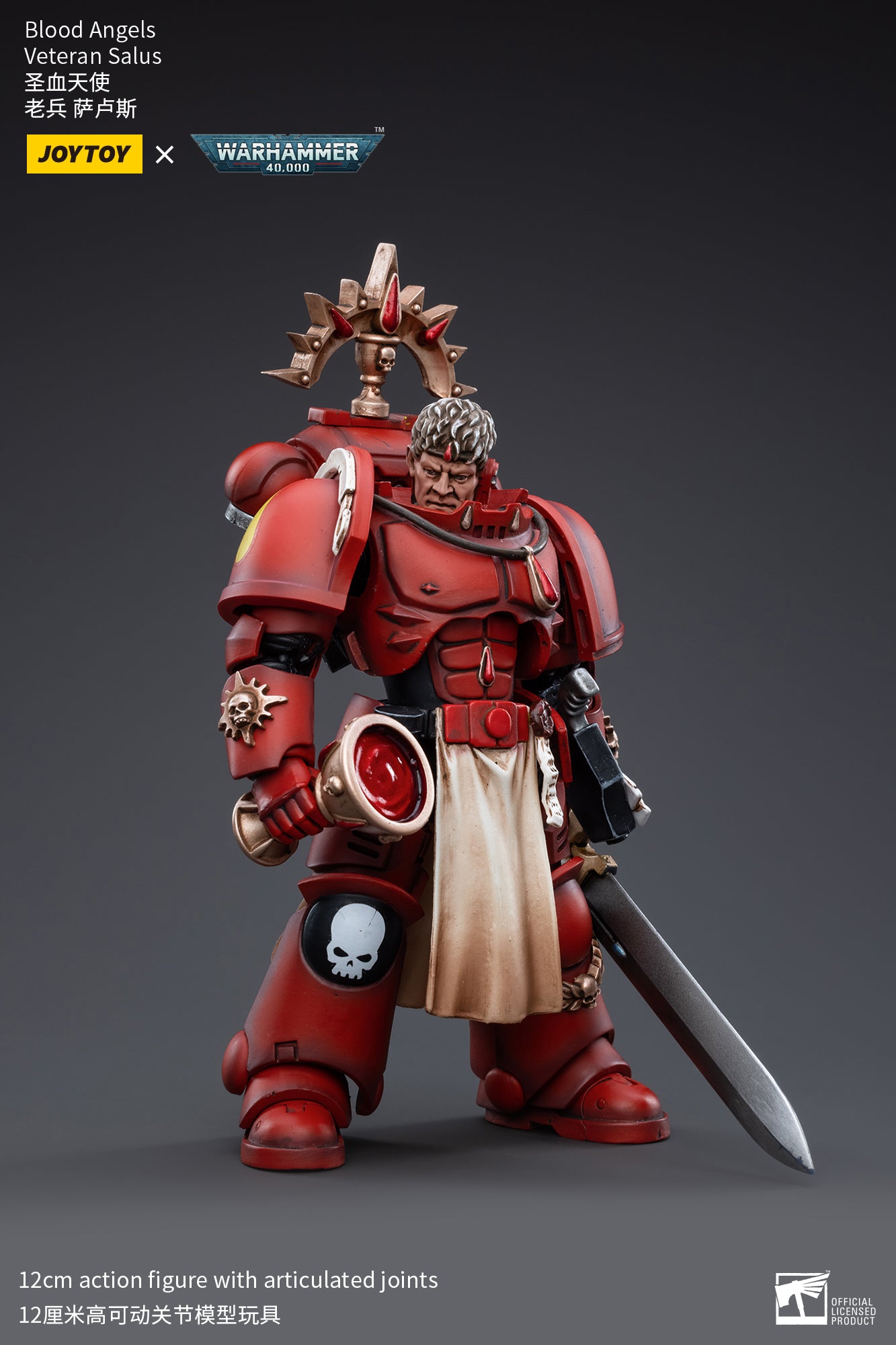 Warhammer 40k Blood Angels Veteran Salus (In Stock)
