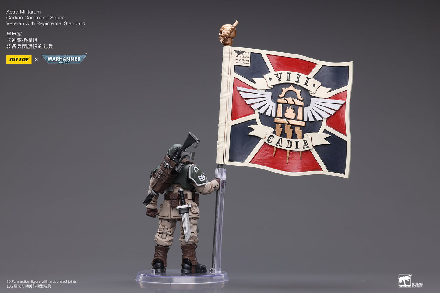 Warhammer 40K Astra Militarum Cadian Command Squad Veteran with Regimental Standard (In Stock)