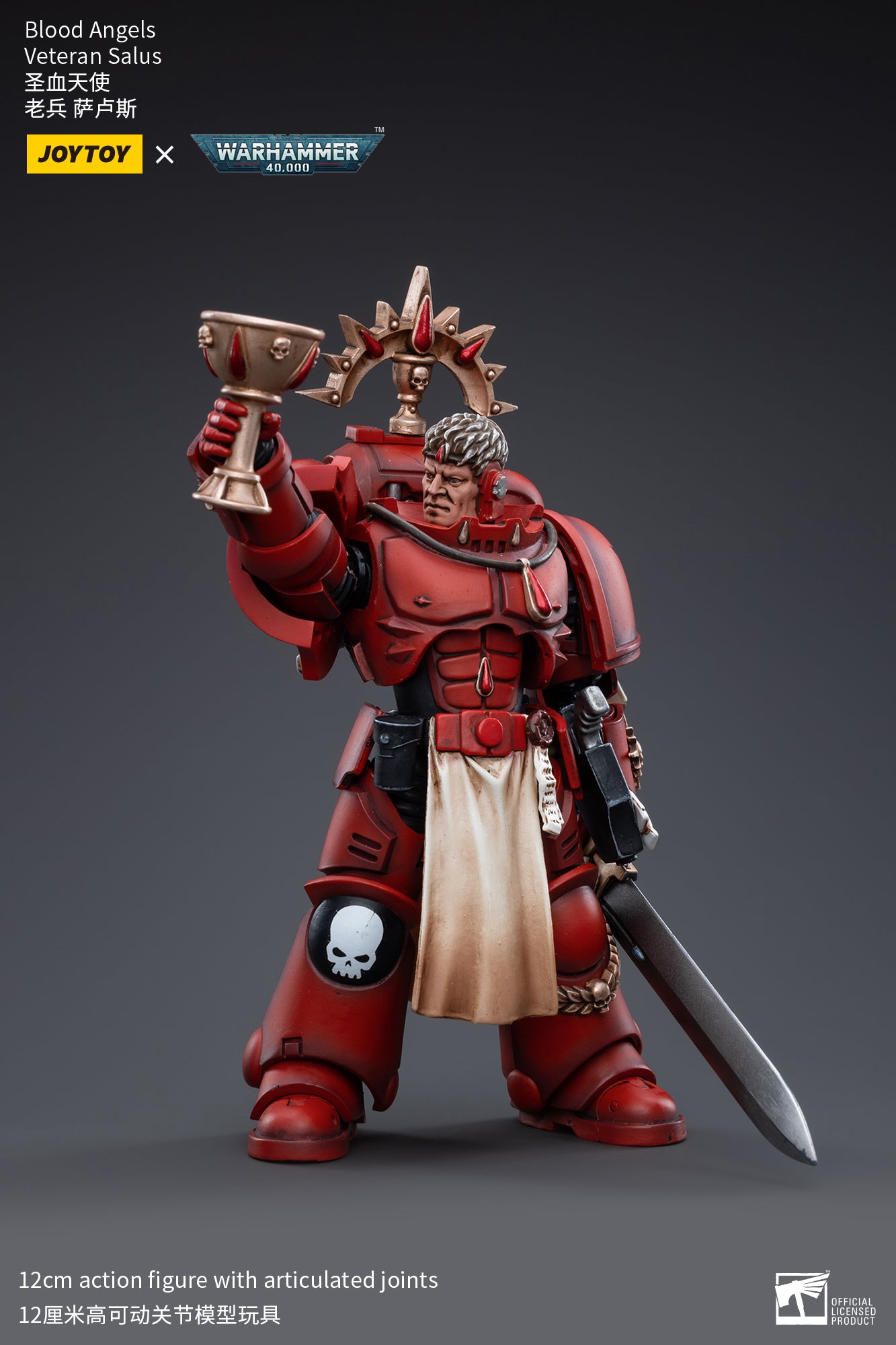 Warhammer 40k Blood Angels Veteran Salus (In Stock)