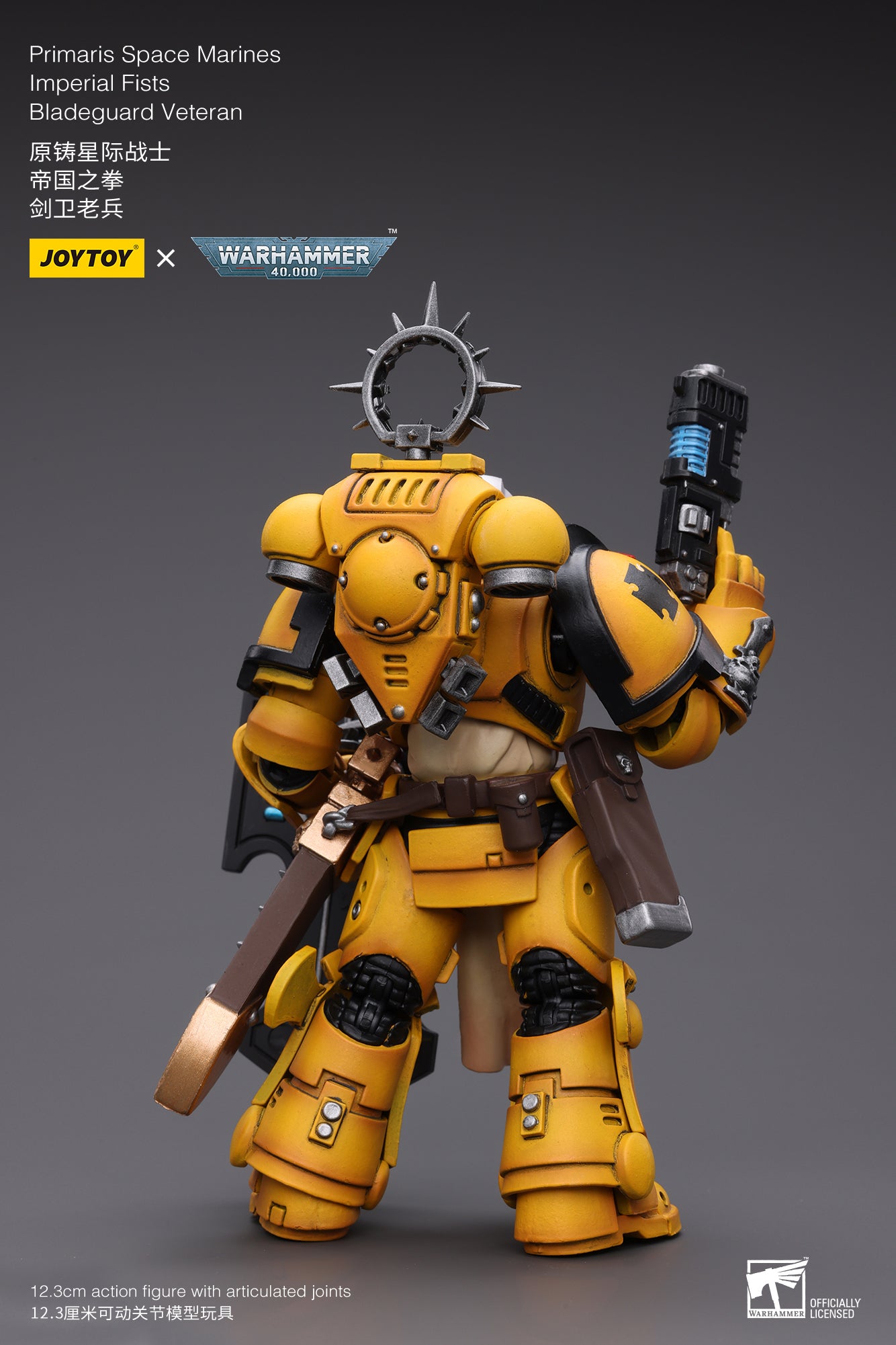 (Pre-Order) Warhammer 40K Primaris Space Marines Imperial Fists Bladeguard Veteran