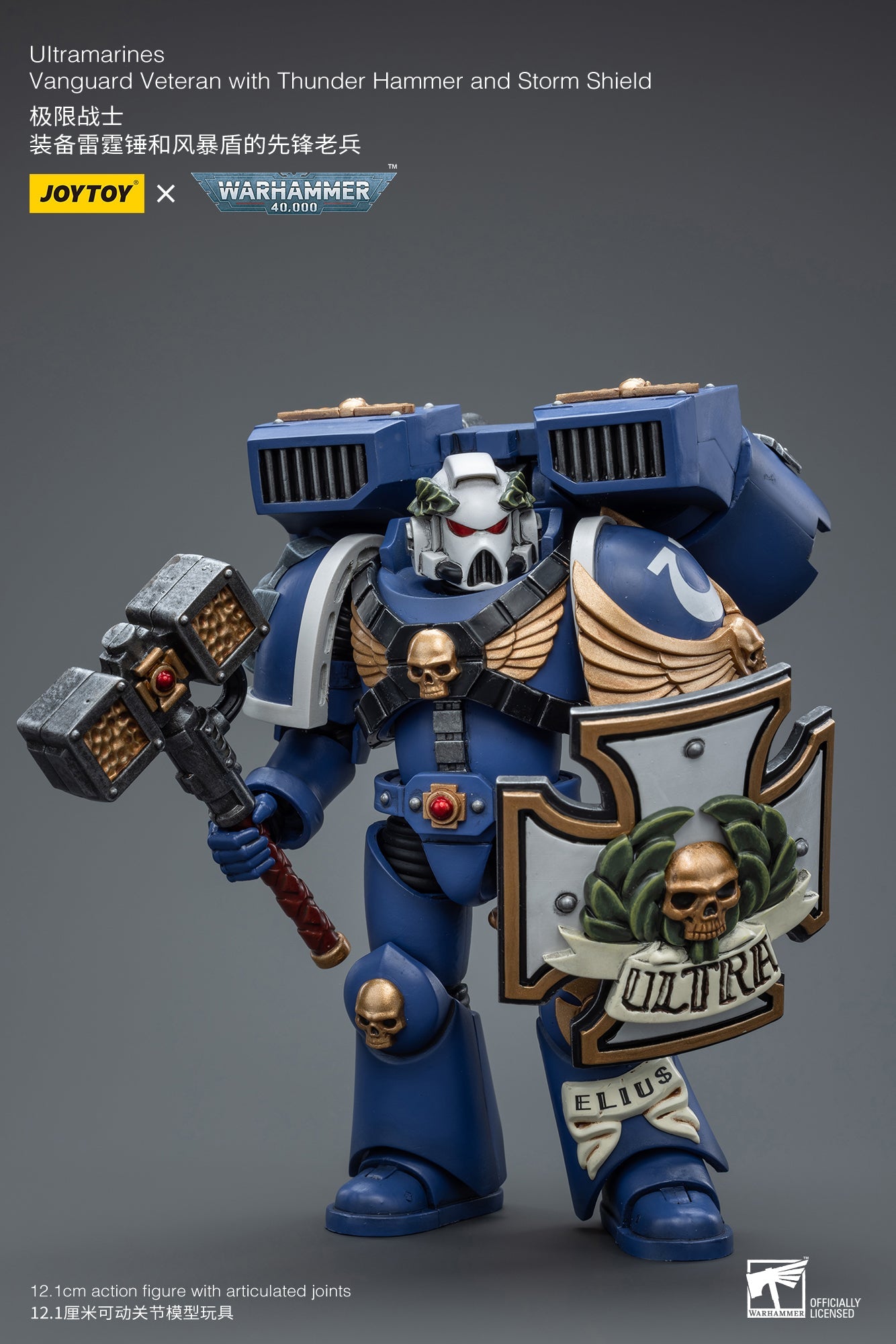 Warhammer 40K Ultramarines Vanguard Veteran with Thunder Hammer and Storm Shield (In Stock)
