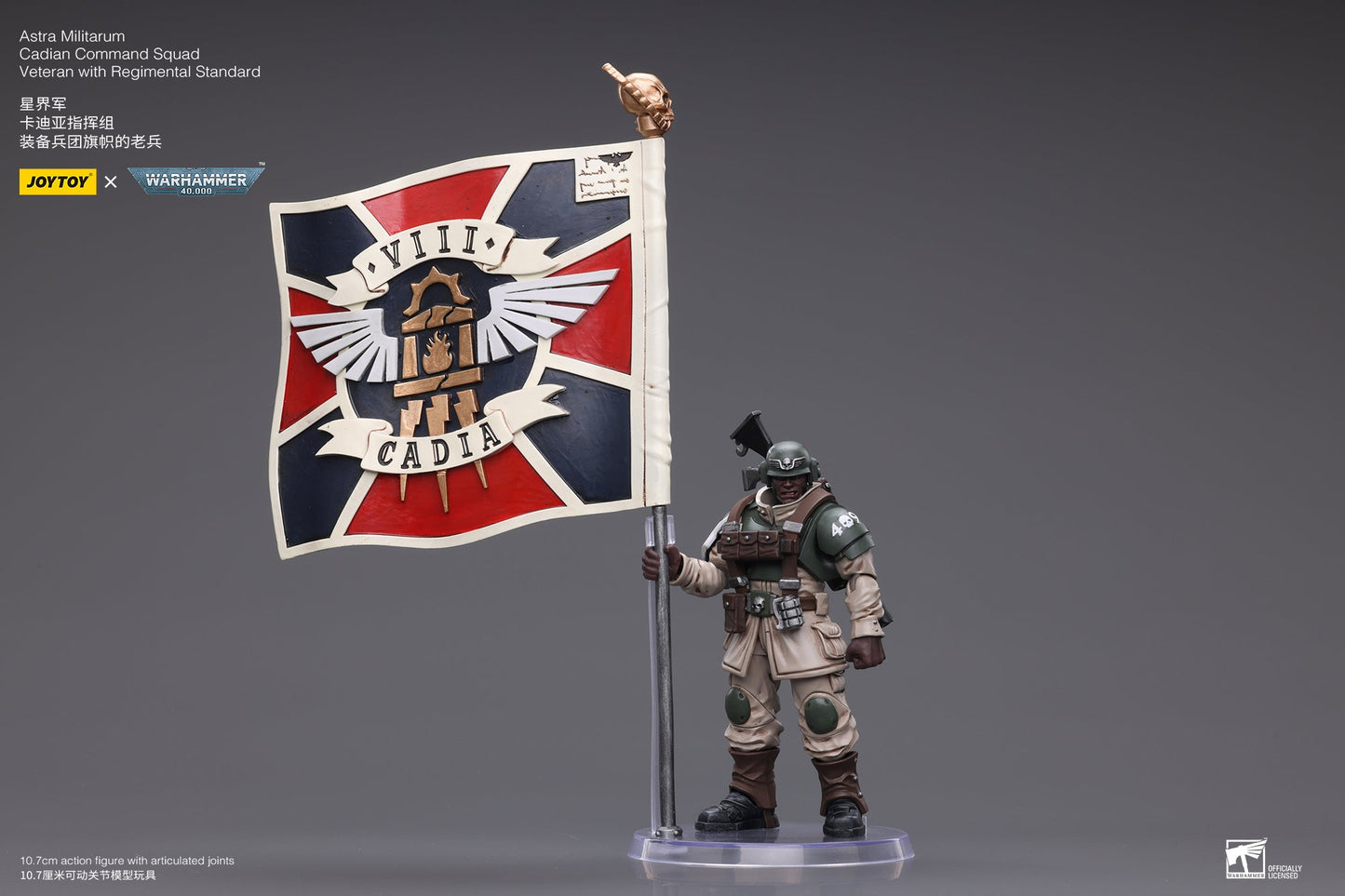 Warhammer 40K Astra Militarum Cadian Command Squad Veteran with Regimental Standard (In Stock)