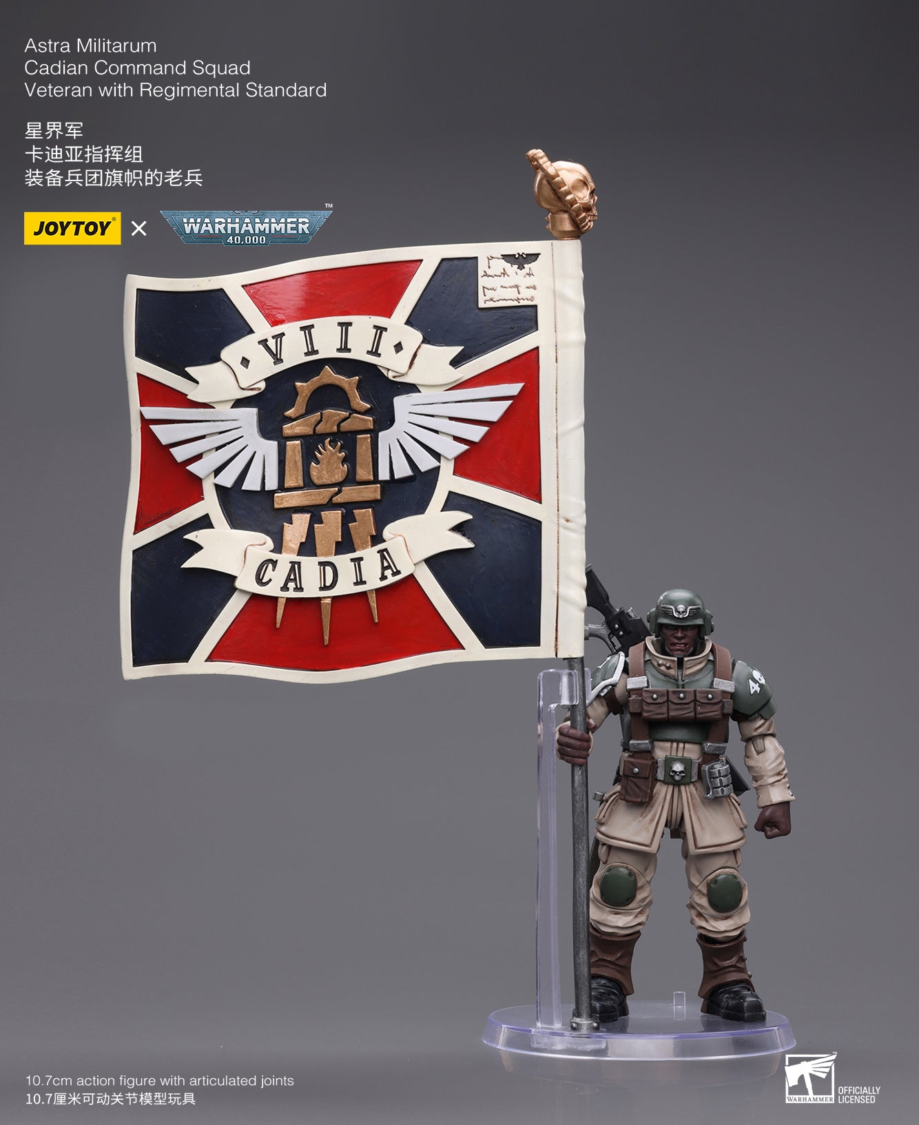 Warhammer 40K Astra Militarum Cadian Command Squad Veteran with Regimental Standard (In Stock)