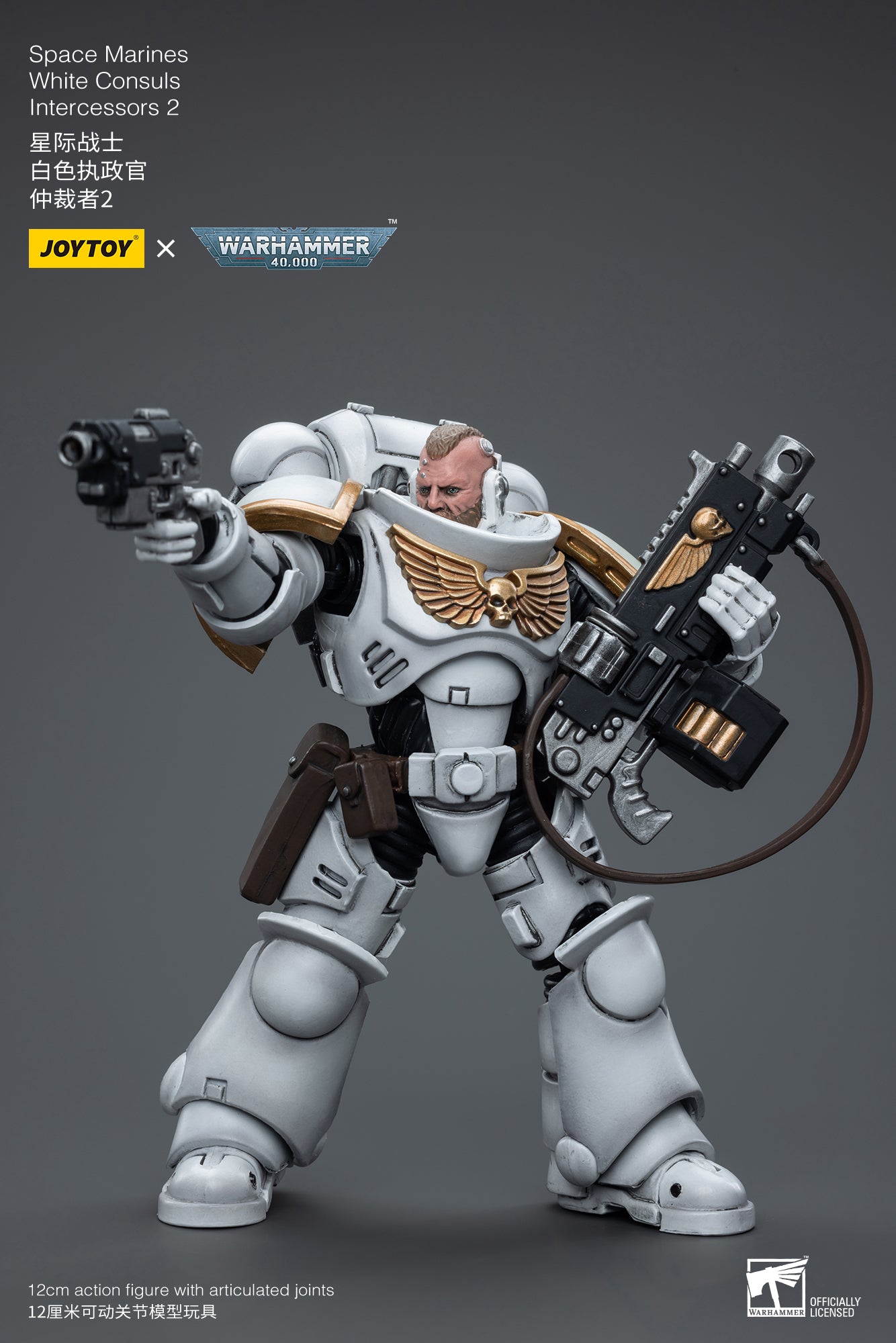 (Pre-Order) Warhammer 40K Space Marines White Consuls Intercessors 2