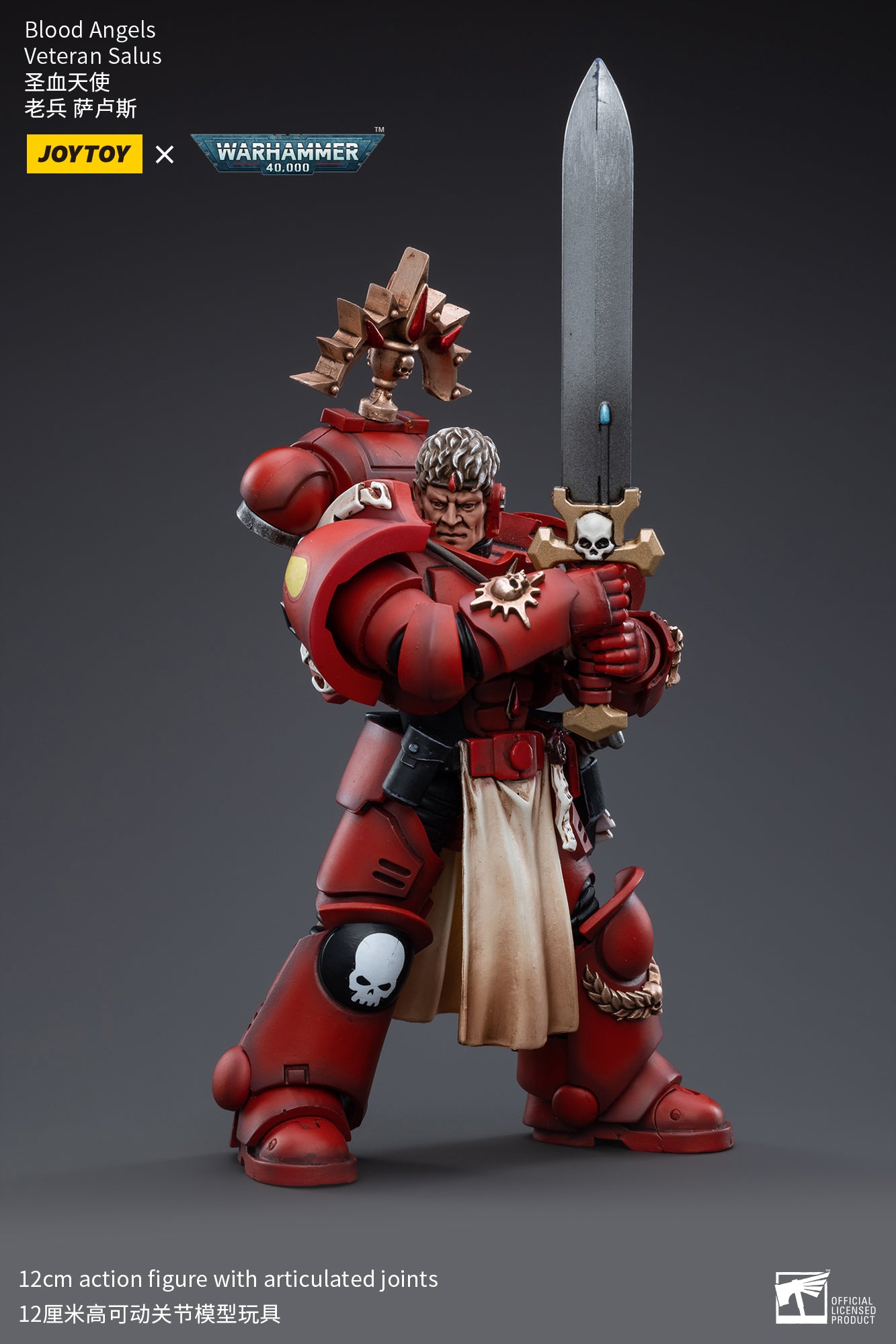 Warhammer 40k Blood Angels Veteran Salus (In Stock)
