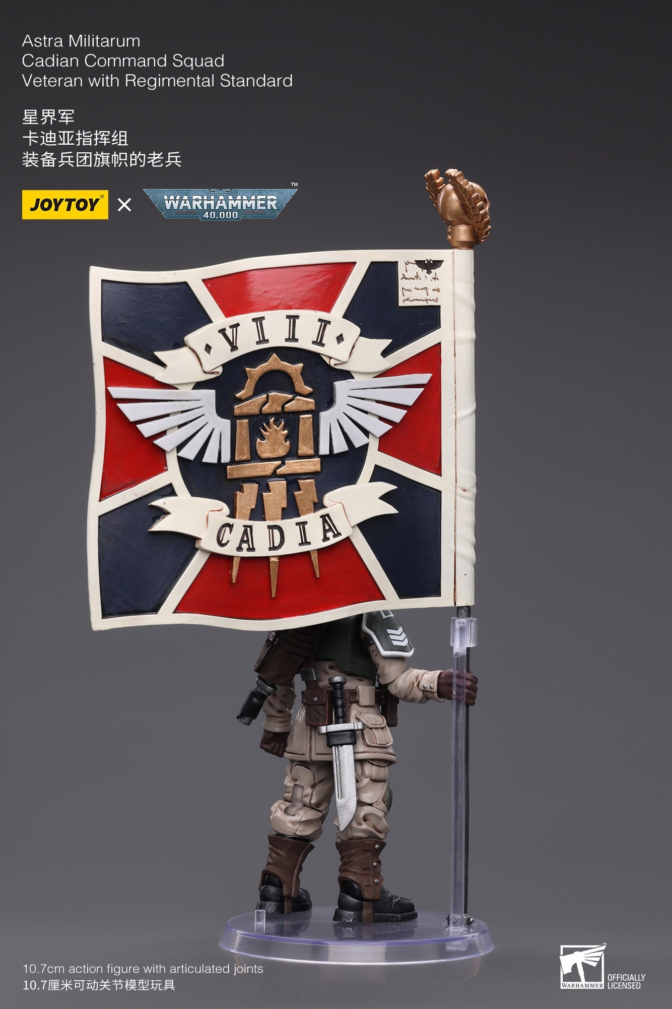 Warhammer 40K Astra Militarum Cadian Command Squad Veteran with Regimental Standard (In Stock)