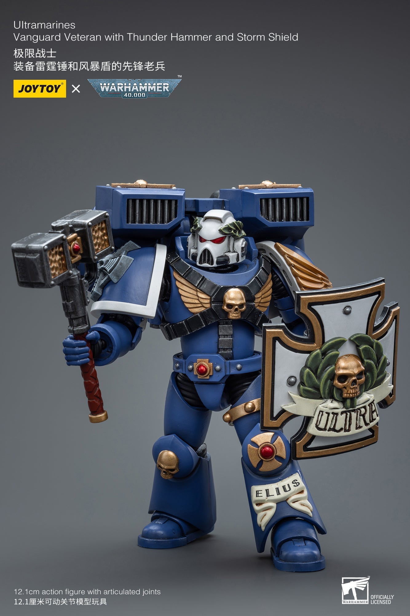 Warhammer 40K Ultramarines Vanguard Veteran with Thunder Hammer and Storm Shield (In Stock)