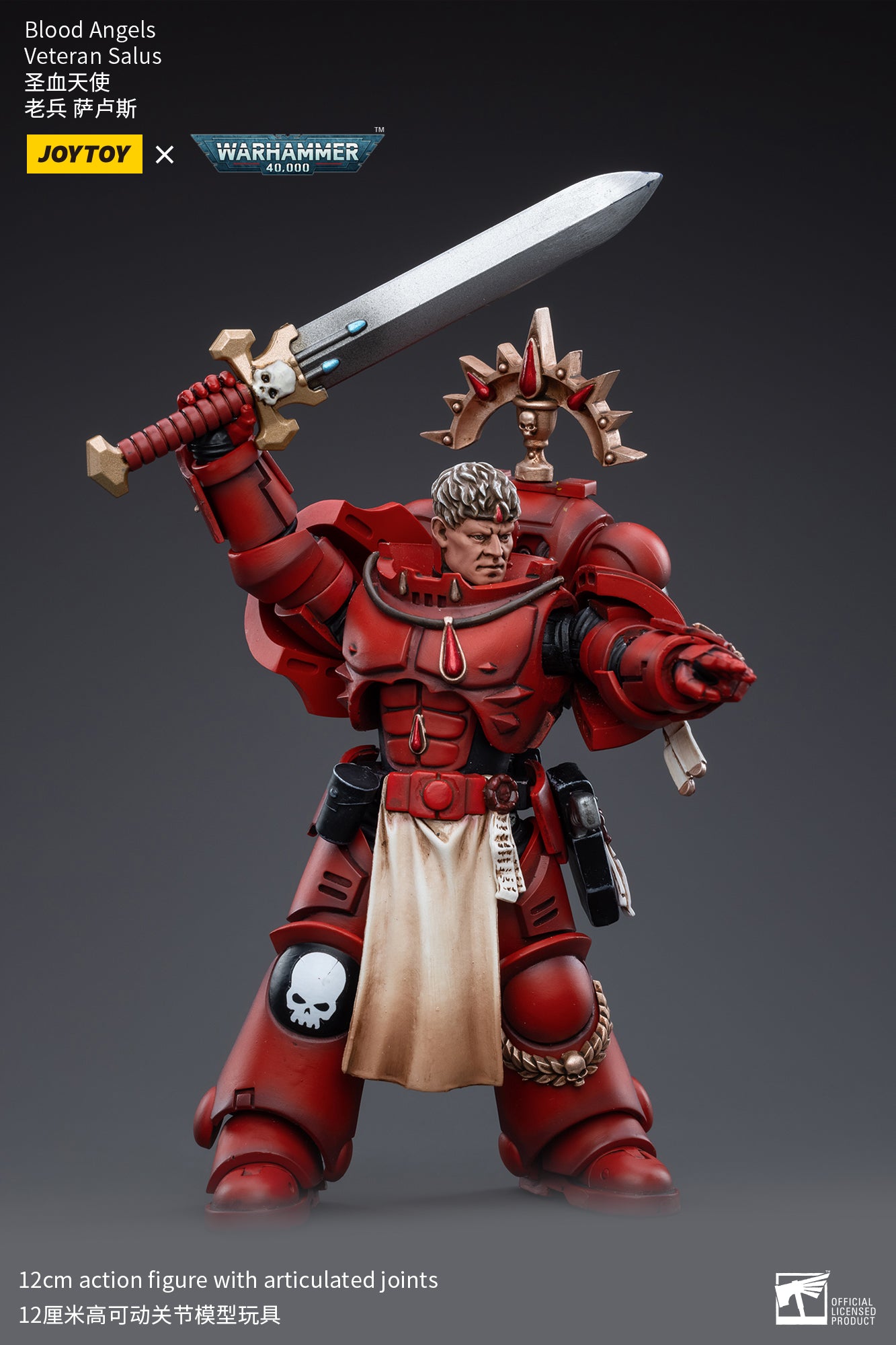 Warhammer 40k Blood Angels Veteran Salus (In Stock)