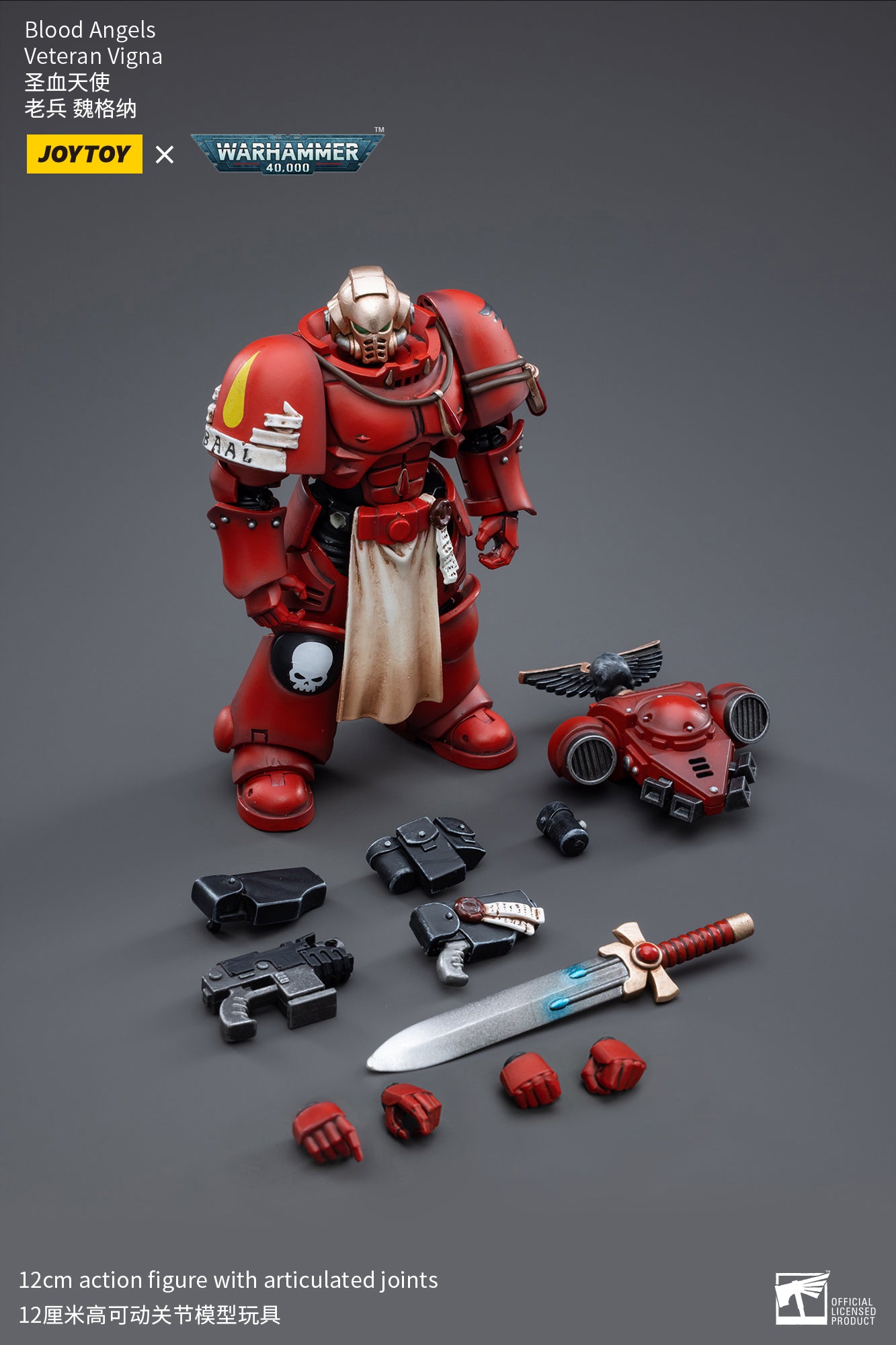 Warhammer 40k Blood Angels Veteran Vigna (In Stock)