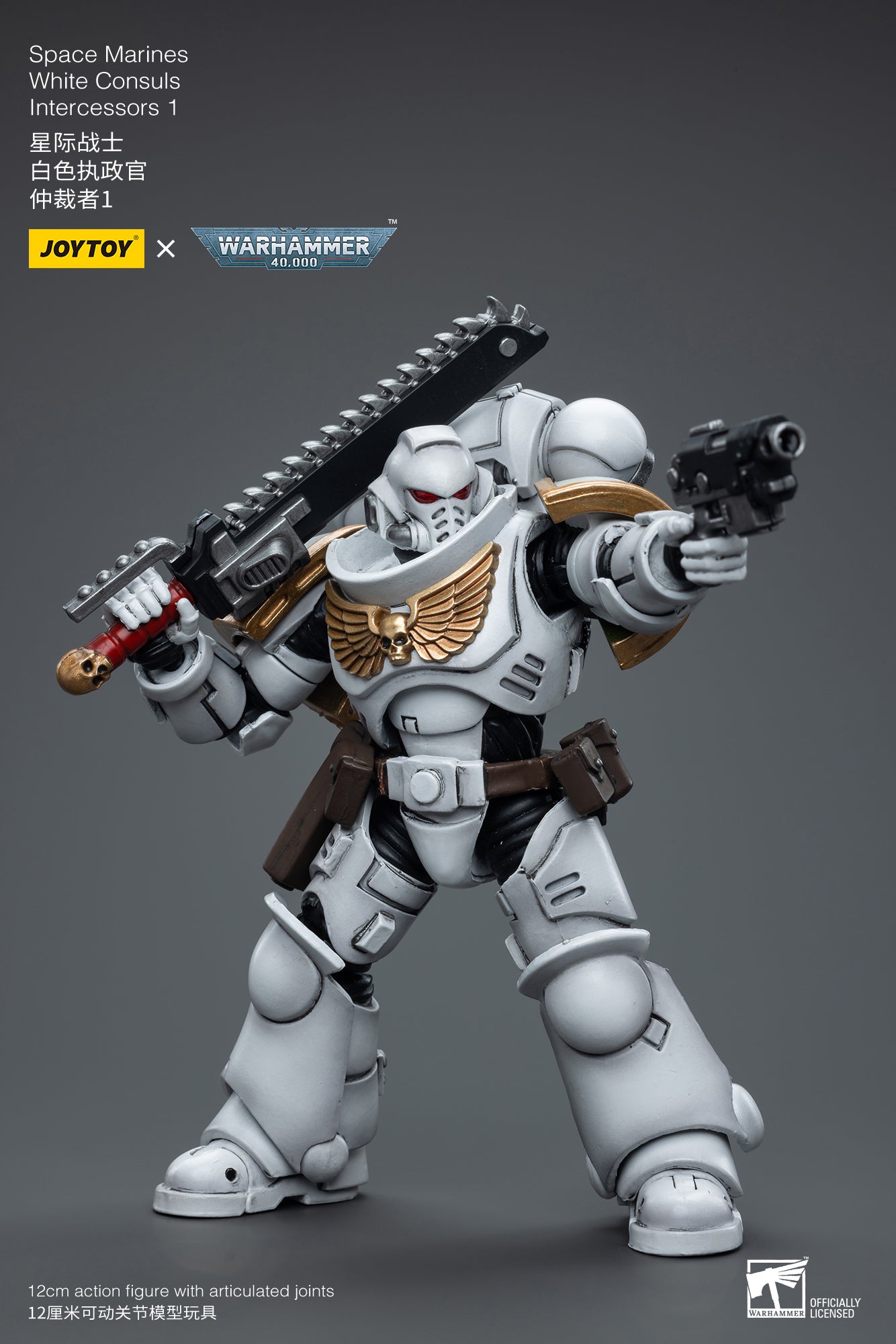 (Pre-Order) Warhammer 40K Space Marines White Consuls Intercessors 1