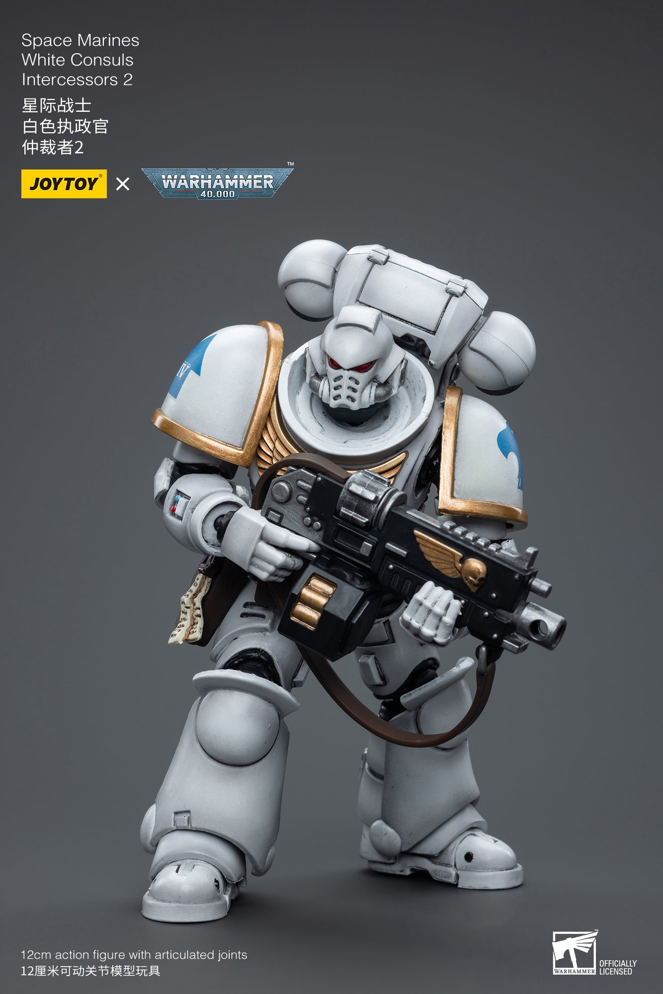 (Pre-Order) Warhammer 40K Space Marines White Consuls Intercessors 2