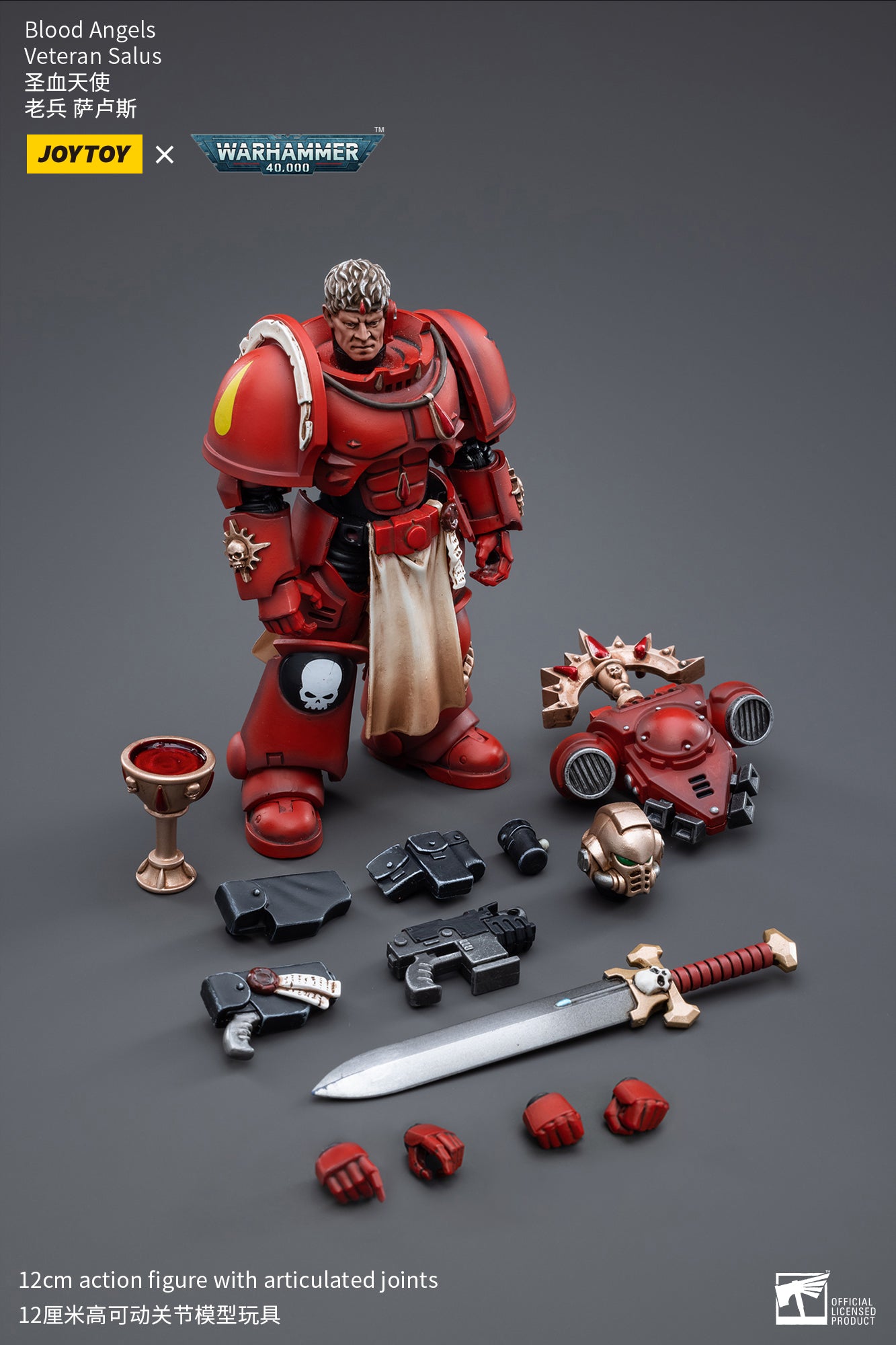Warhammer 40k Blood Angels Veteran Salus (In Stock)