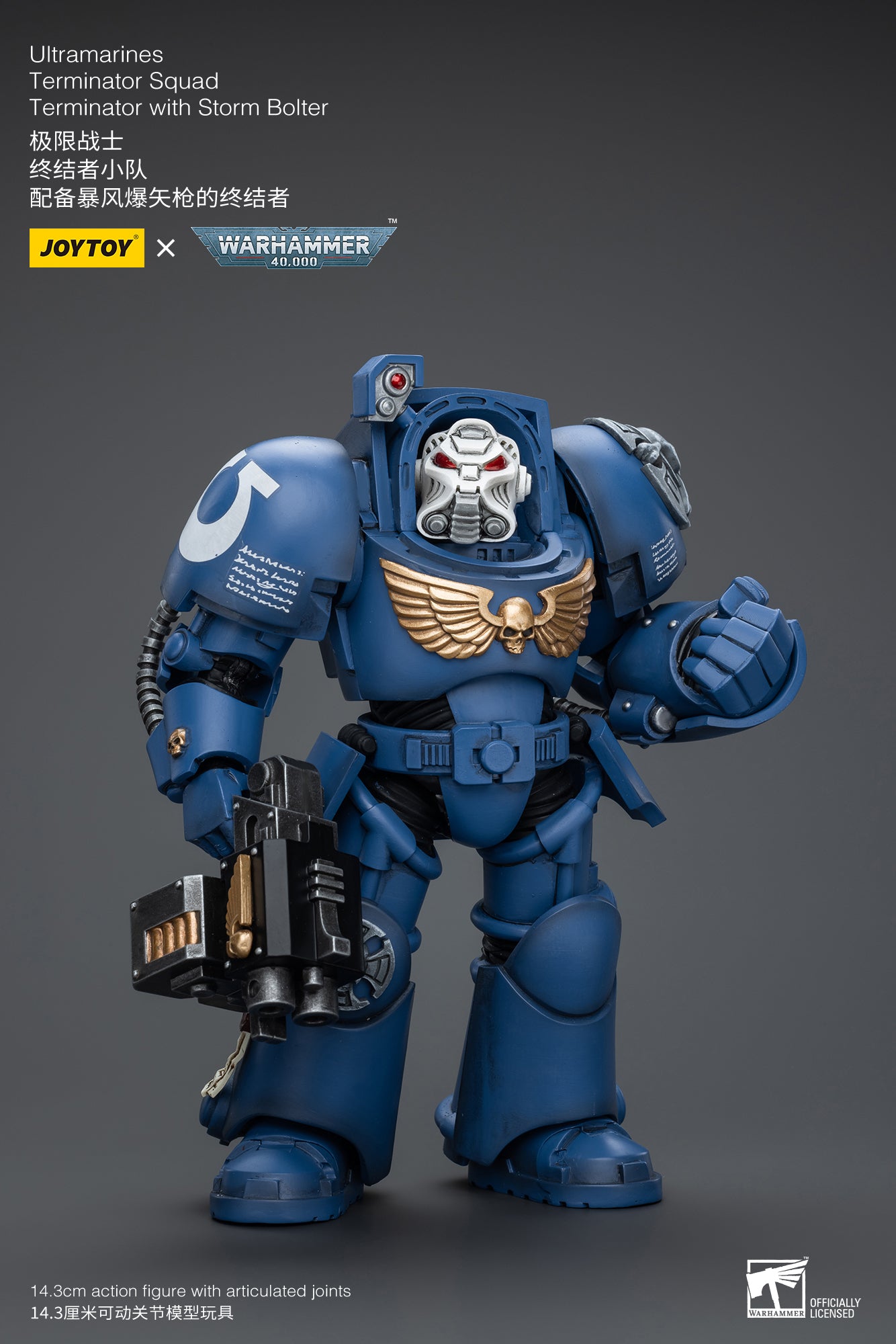 (Pre-Order) Warhammer 40k Ultramarines Terminator Squad Terminator with Storm Bolter
