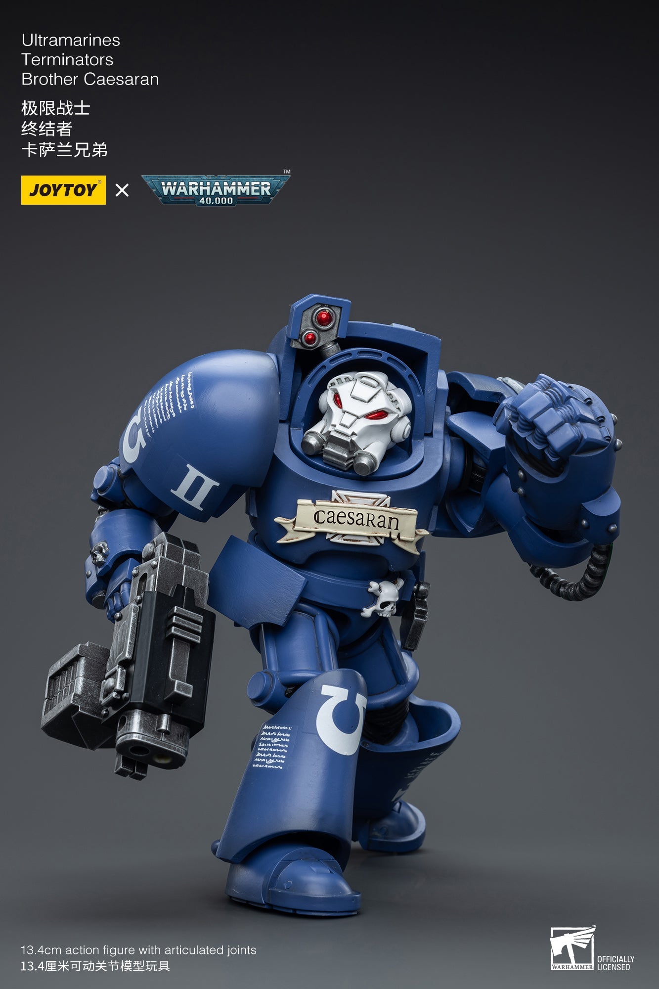 Warhammer 40K Ultramarines Terminators Brother Caesaran (In Stock)