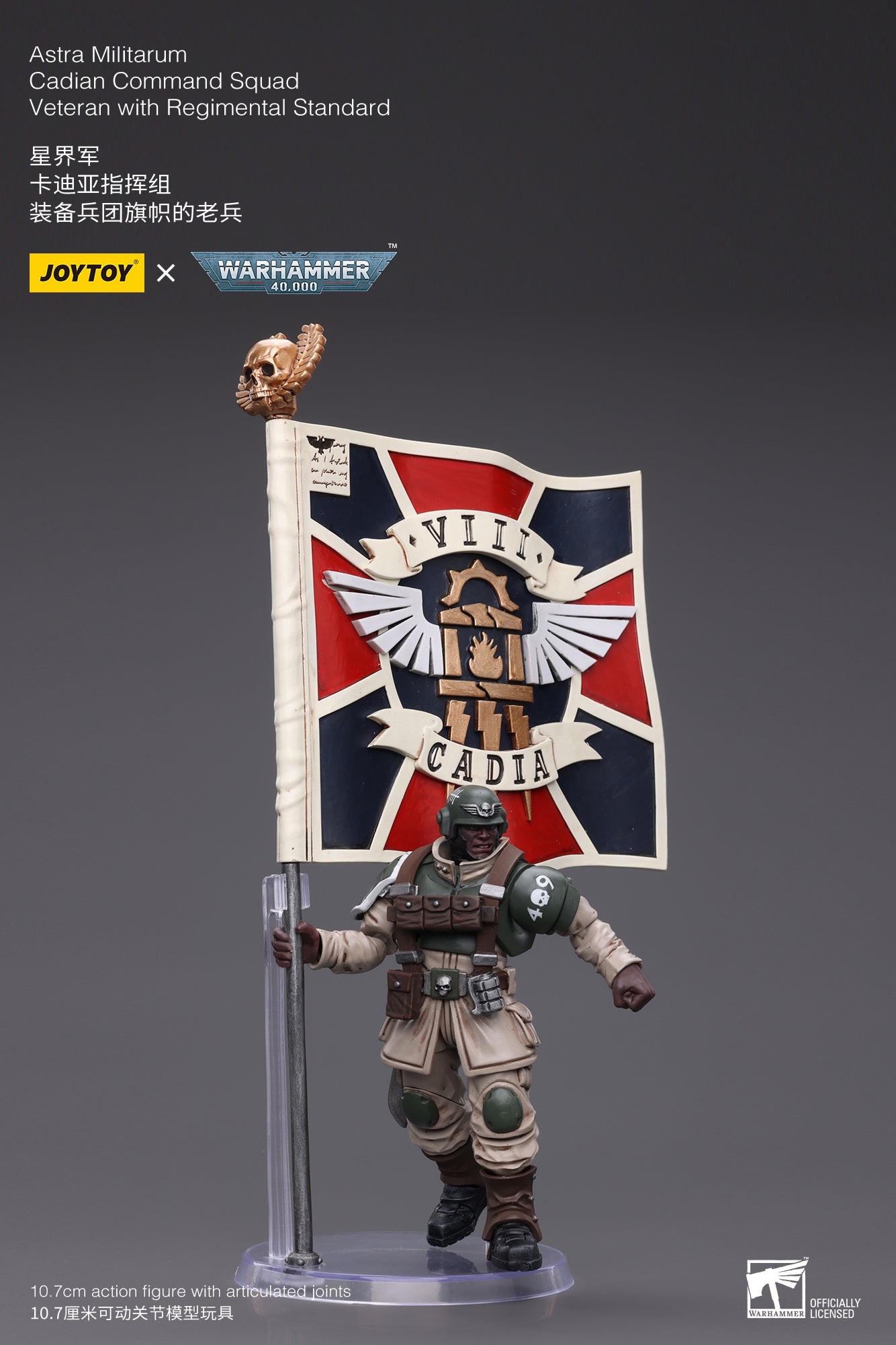 Warhammer 40K Astra Militarum Cadian Command Squad Veteran with Regimental Standard (In Stock)