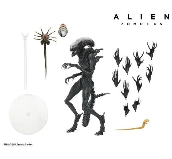 (Pre-Order) Neca Alien: Romulus Ultimate Scorched Alien Xenomorph