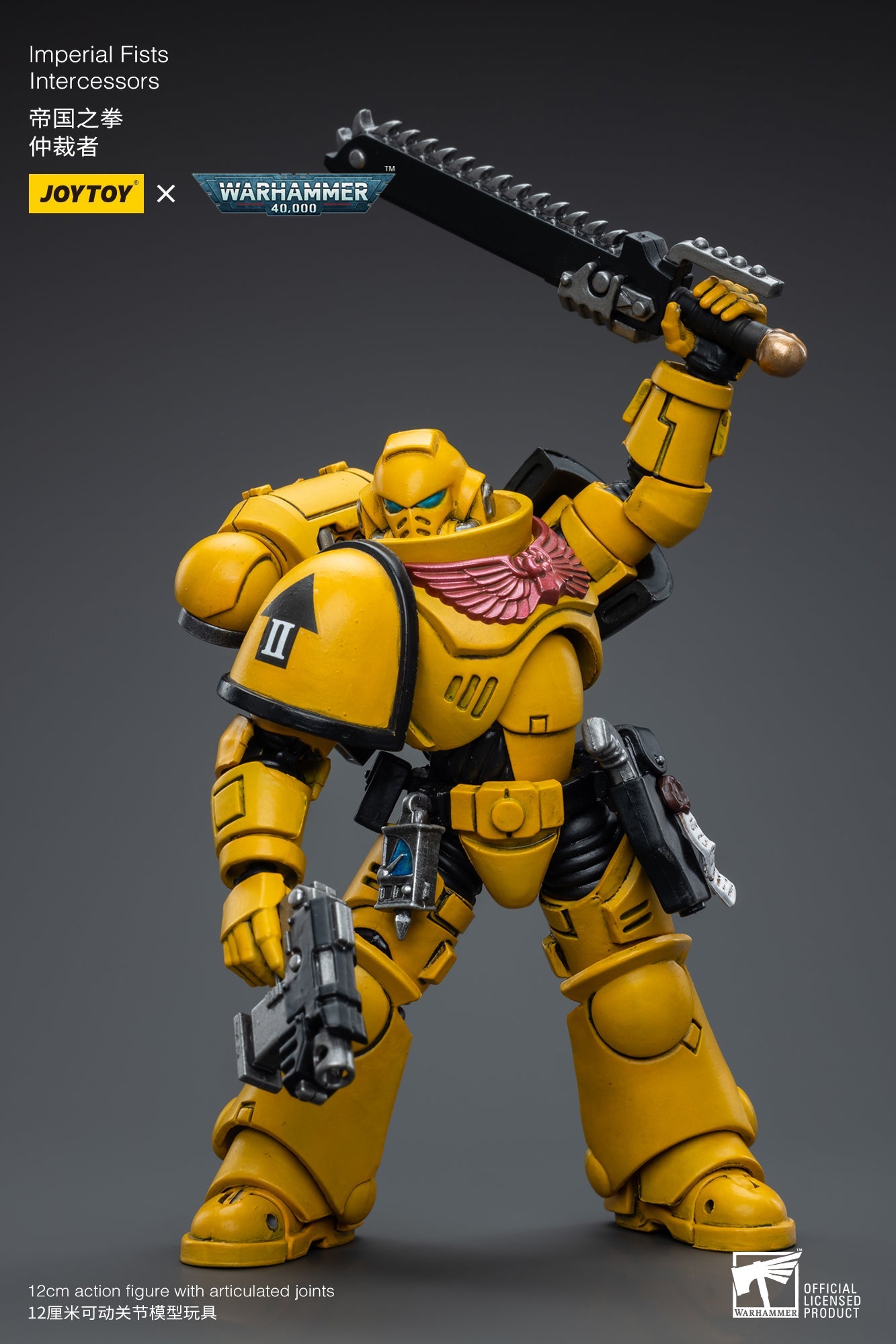 Warhammer 40K Imperial Fists Intercessors (In Stock)