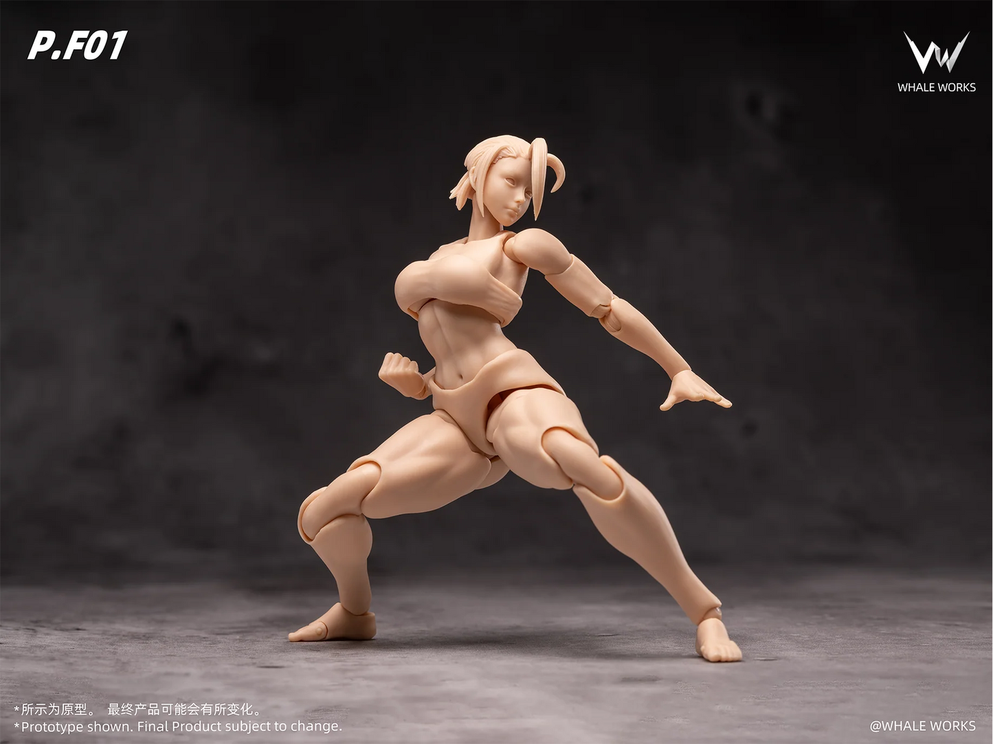 (Pre-Order) Whale Works 1/12 Super Articulate figures Aria and Rin