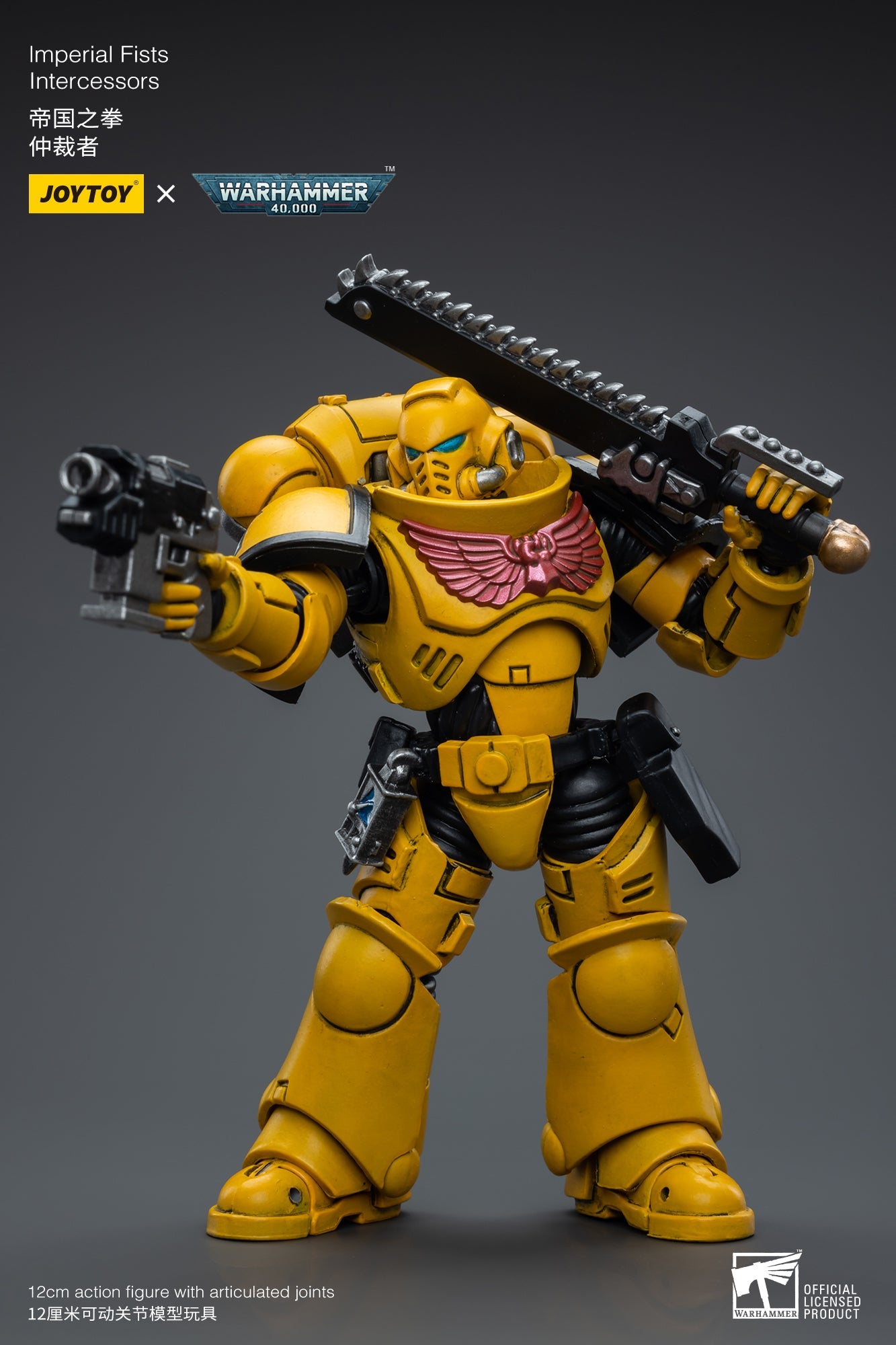 Warhammer 40K Imperial Fists Intercessors (In Stock)
