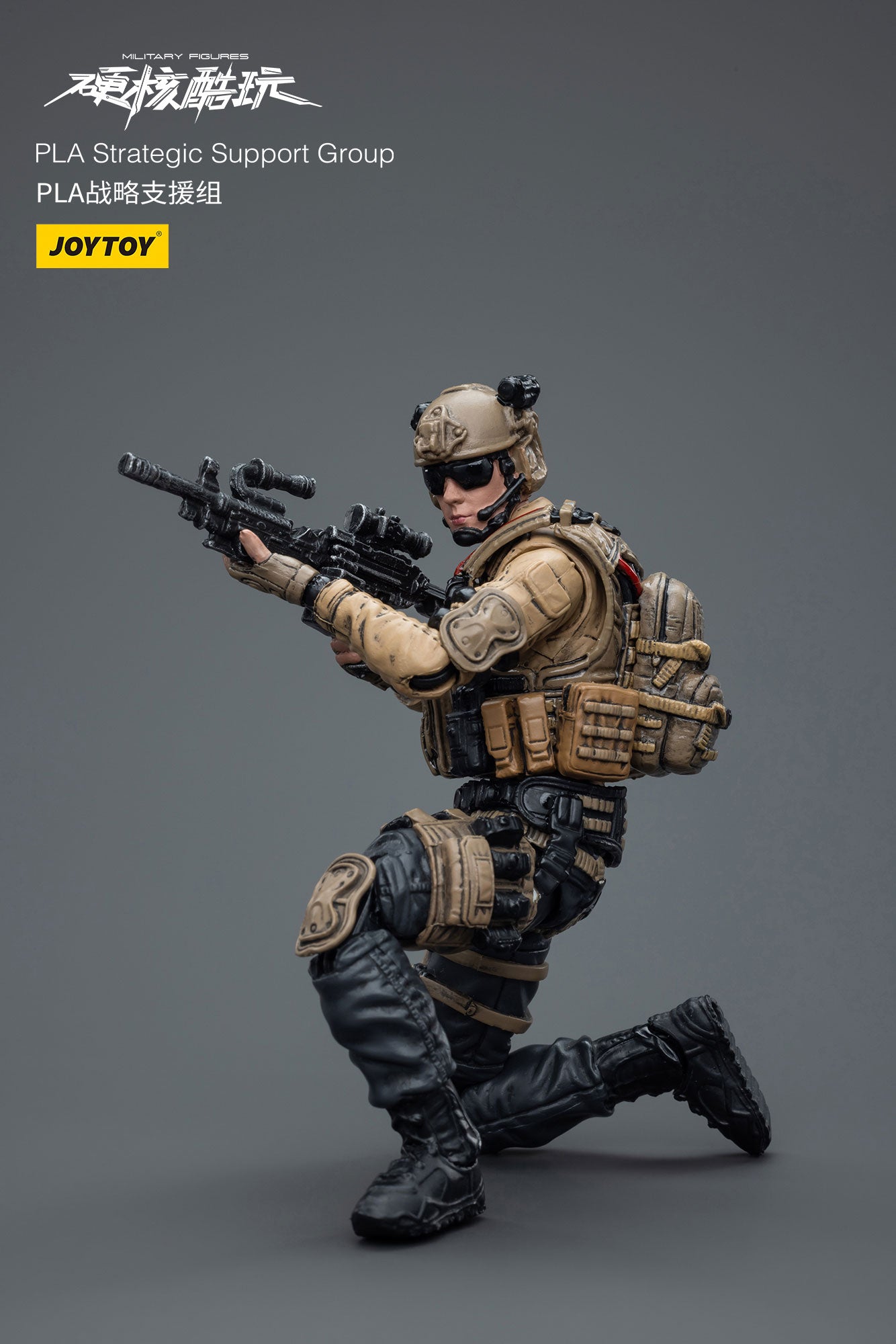 (Pre-Order) JOY TOY Military Figures PLA Strategic Support Group 1/18 Scale Figure