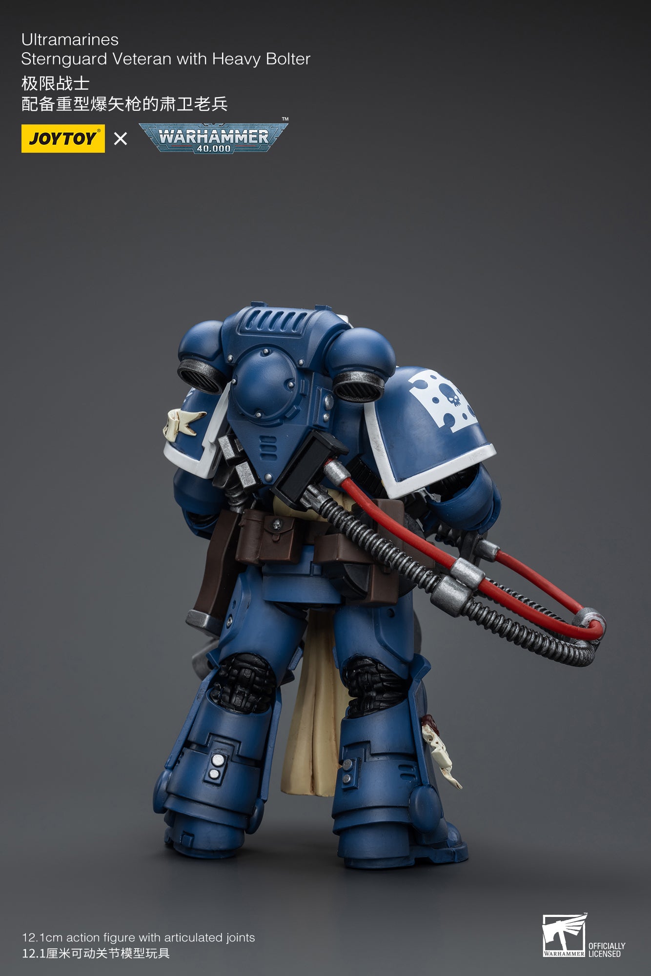 (Pre-Order) Warhammer 40k Ultramarines Sternguard Veteran with Heavy Bolter