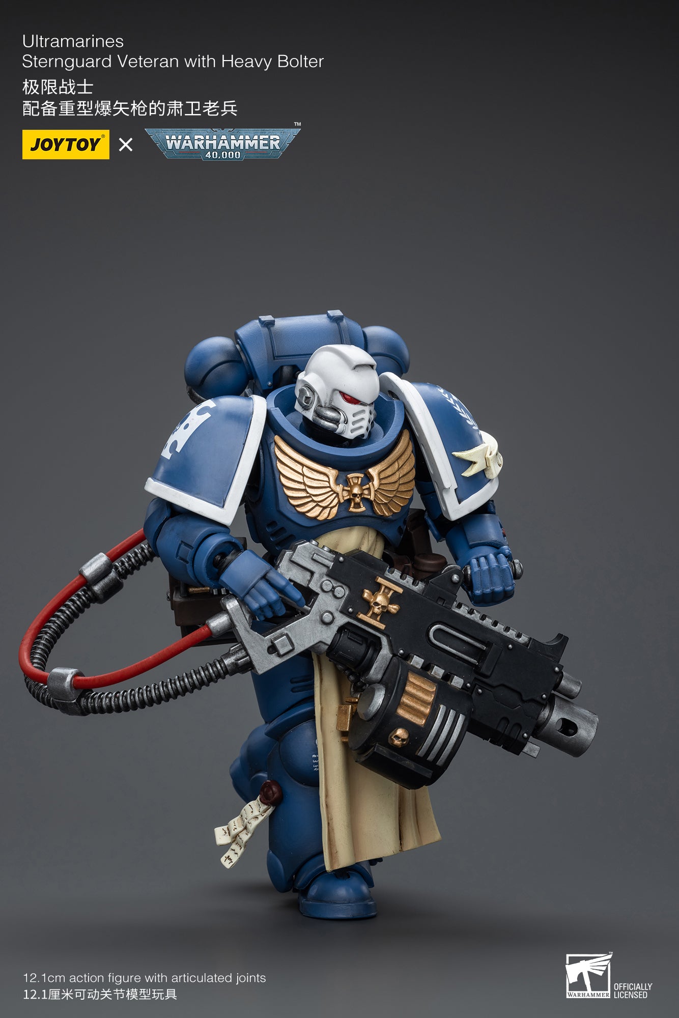 (Pre-Order) Warhammer 40k Ultramarines Sternguard Veteran with Heavy Bolter