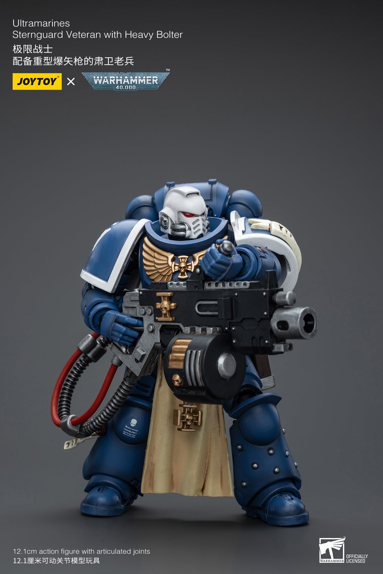 (Pre-Order) Warhammer 40k Ultramarines Sternguard Veteran with Heavy Bolter