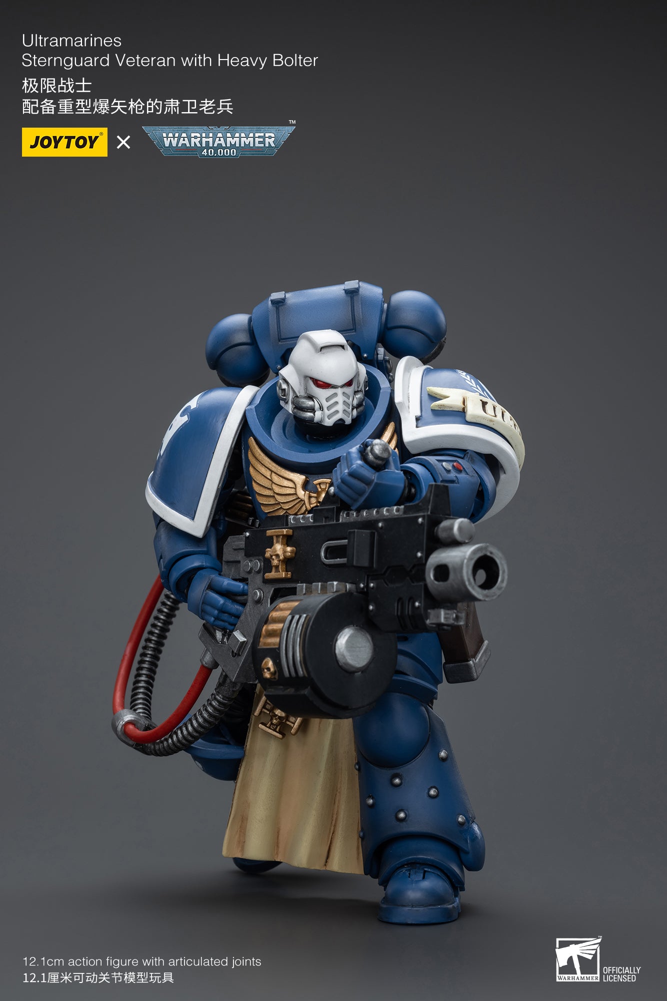 (Pre-Order) Warhammer 40k Ultramarines Sternguard Veteran with Heavy Bolter