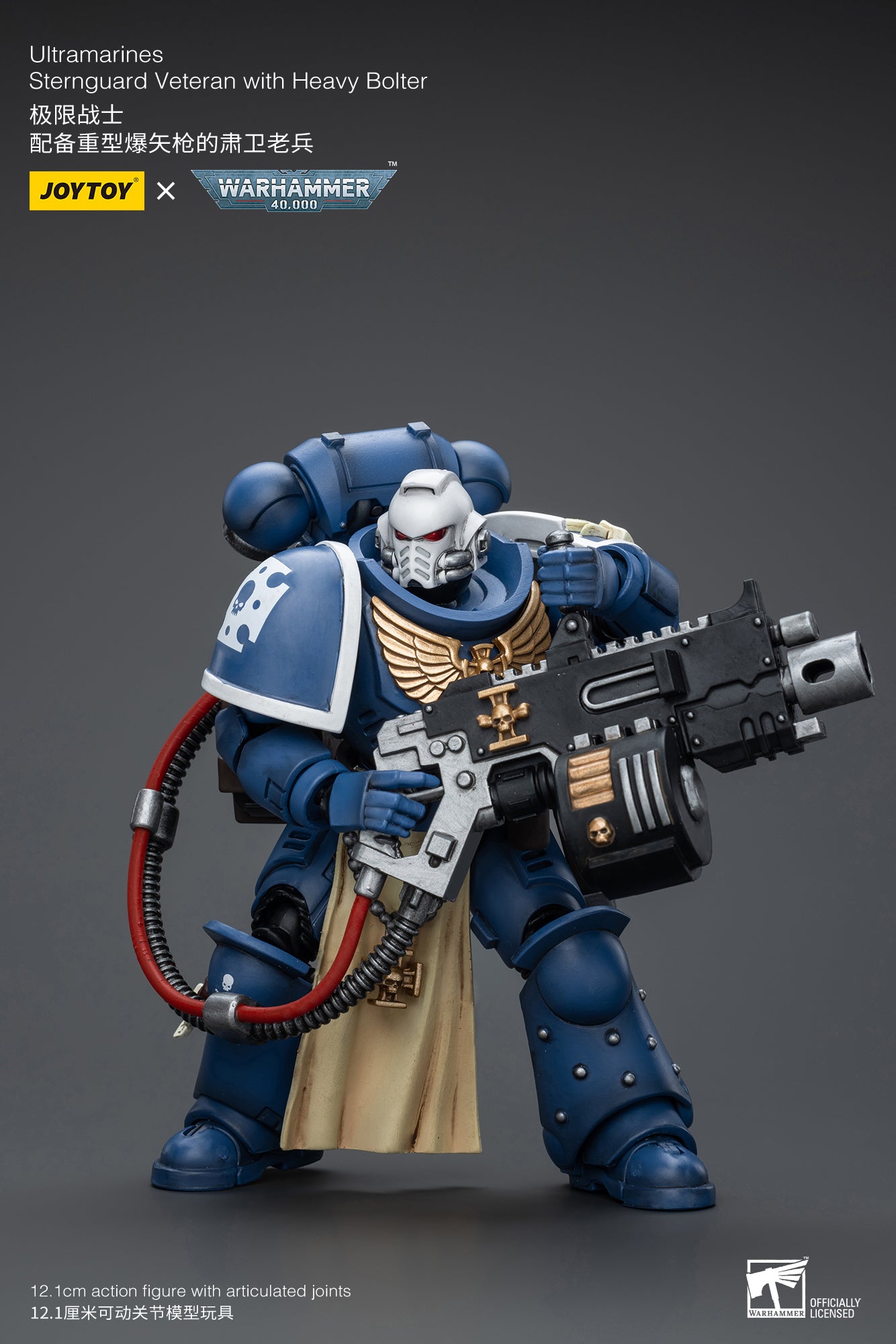 (Pre-Order) Warhammer 40k Ultramarines Sternguard Veteran with Heavy Bolter