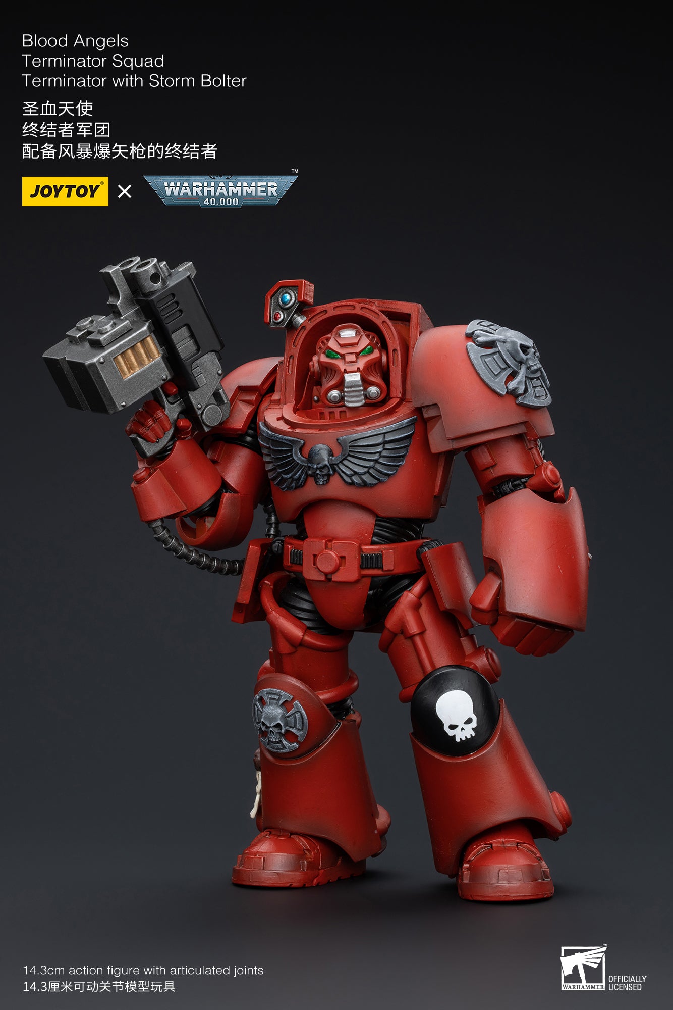 Warhammer 40k Blood Angels Terminator Squad Terminator with Storm Bolter (In Stock)