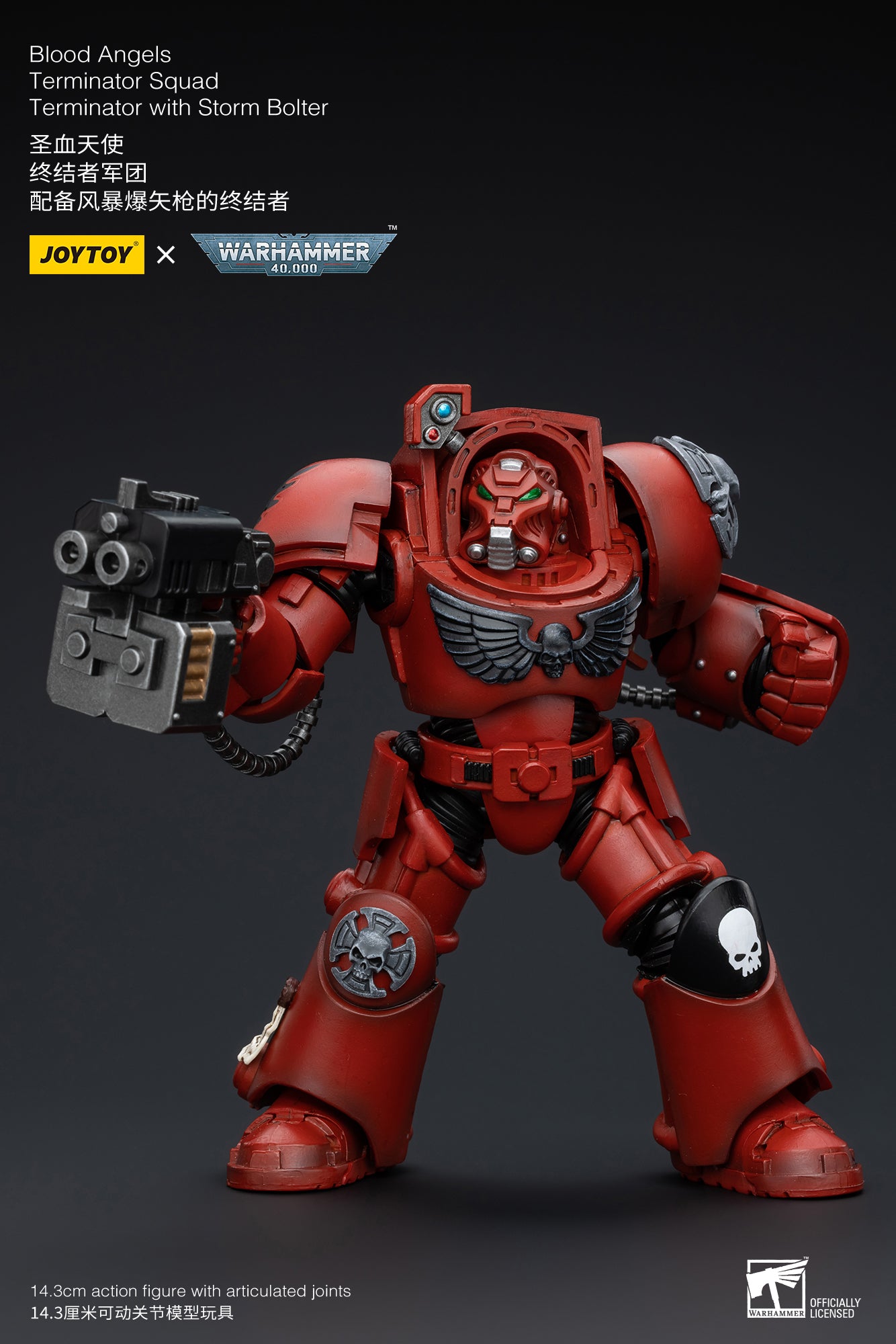 Warhammer 40k Blood Angels Terminator Squad Terminator with Storm Bolter (In Stock)