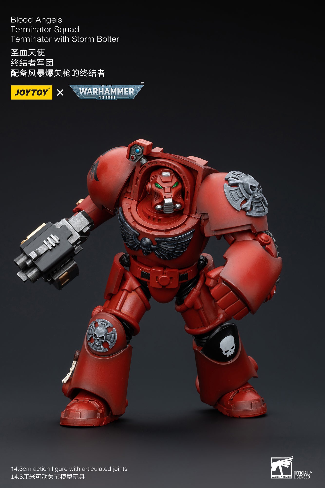 Warhammer 40k Blood Angels Terminator Squad Terminator with Storm Bolter (In Stock)