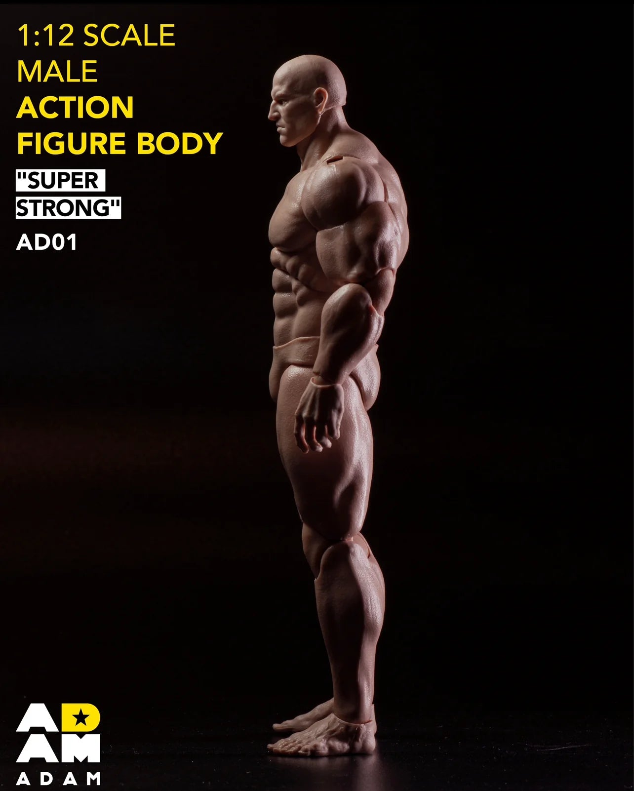 ADAM super strong 1/12 male body action figure AD01 (In Stock)