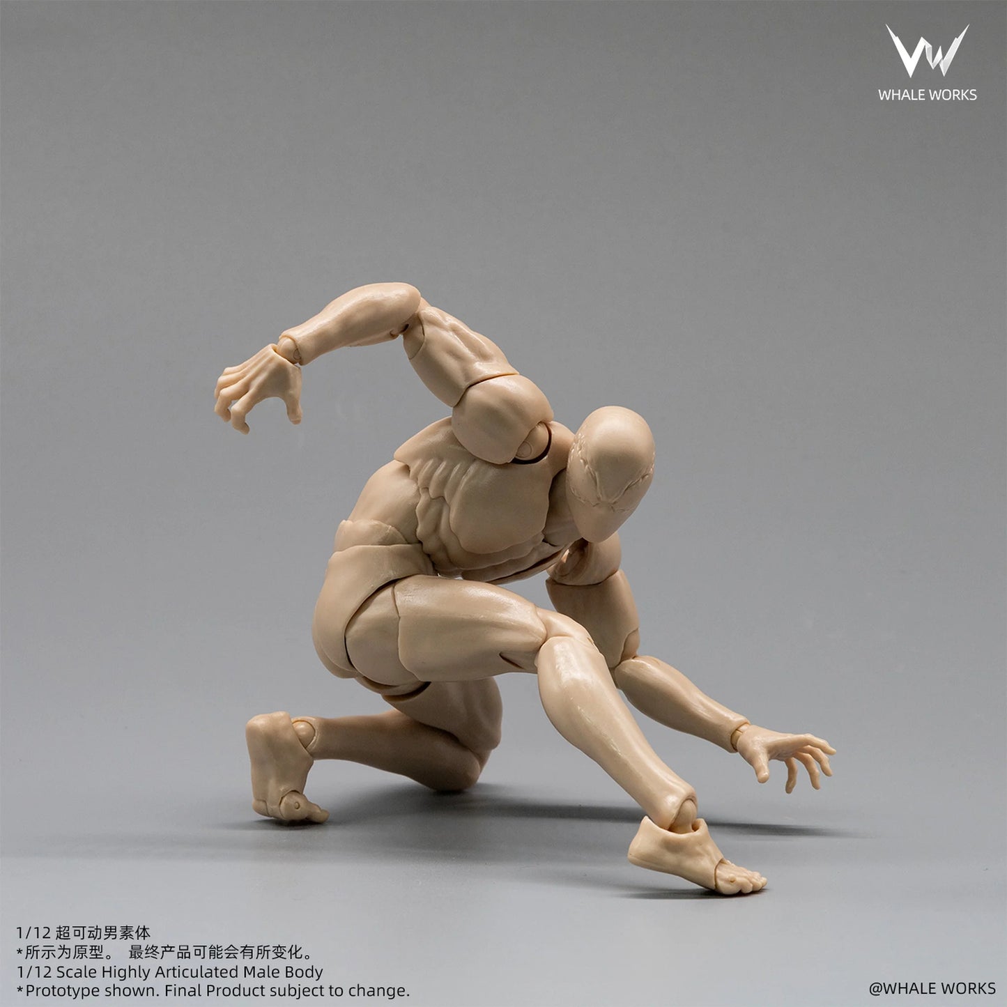 (Pre-Order) Whale Works 1/12 Super Articulated Male Body ASH action figure