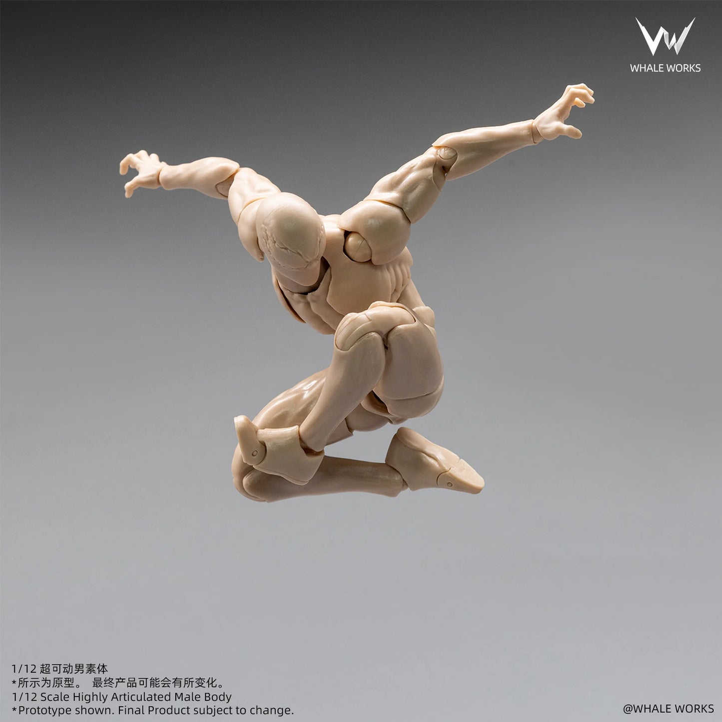 (Pre-Order) Whale Works 1/12 Super Articulated Male Body ASH action figure