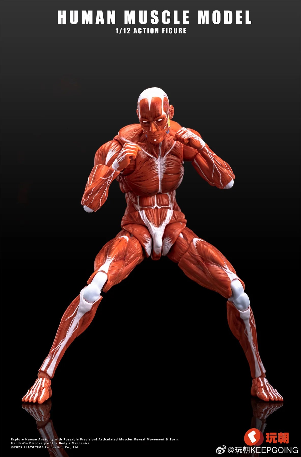 (Pre-Order) Keepgoing Studio 1/12 Human Muscle Model action figure Red and Gray