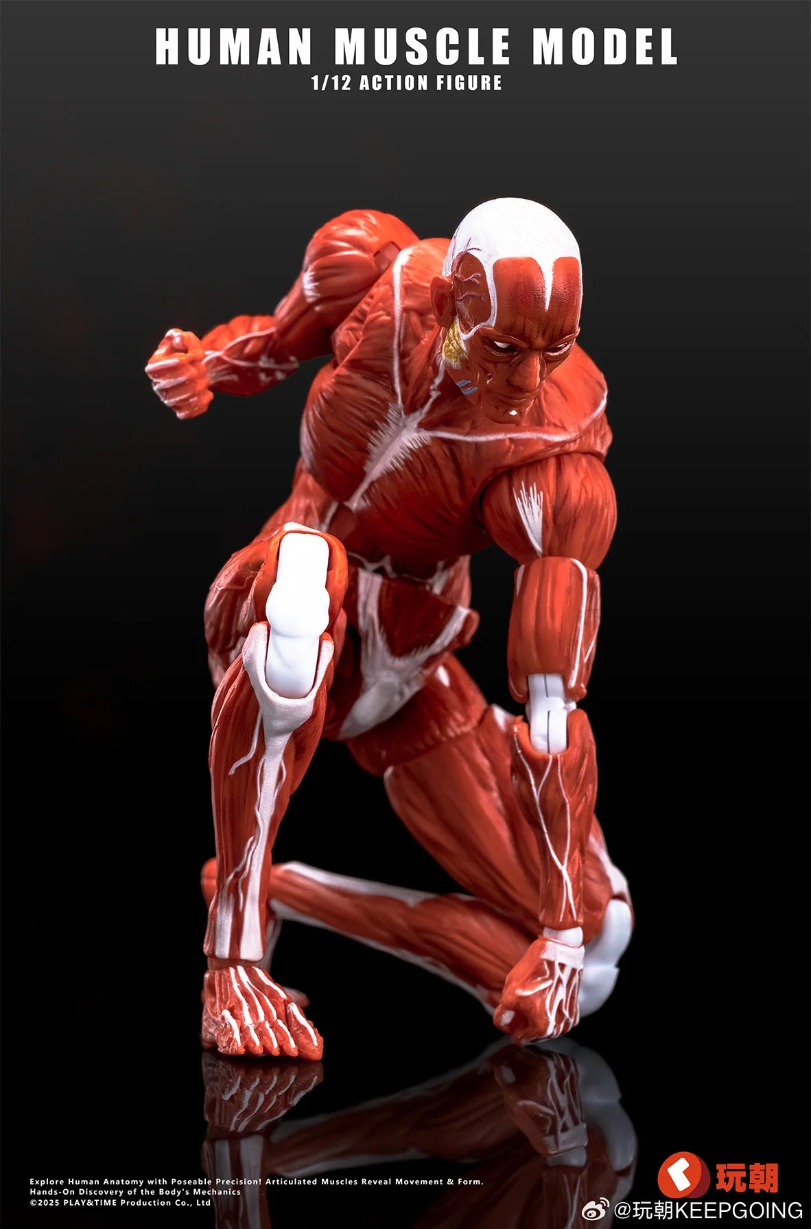 (Pre-Order) Keepgoing Studio 1/12 Human Muscle Model action figure Red and Gray