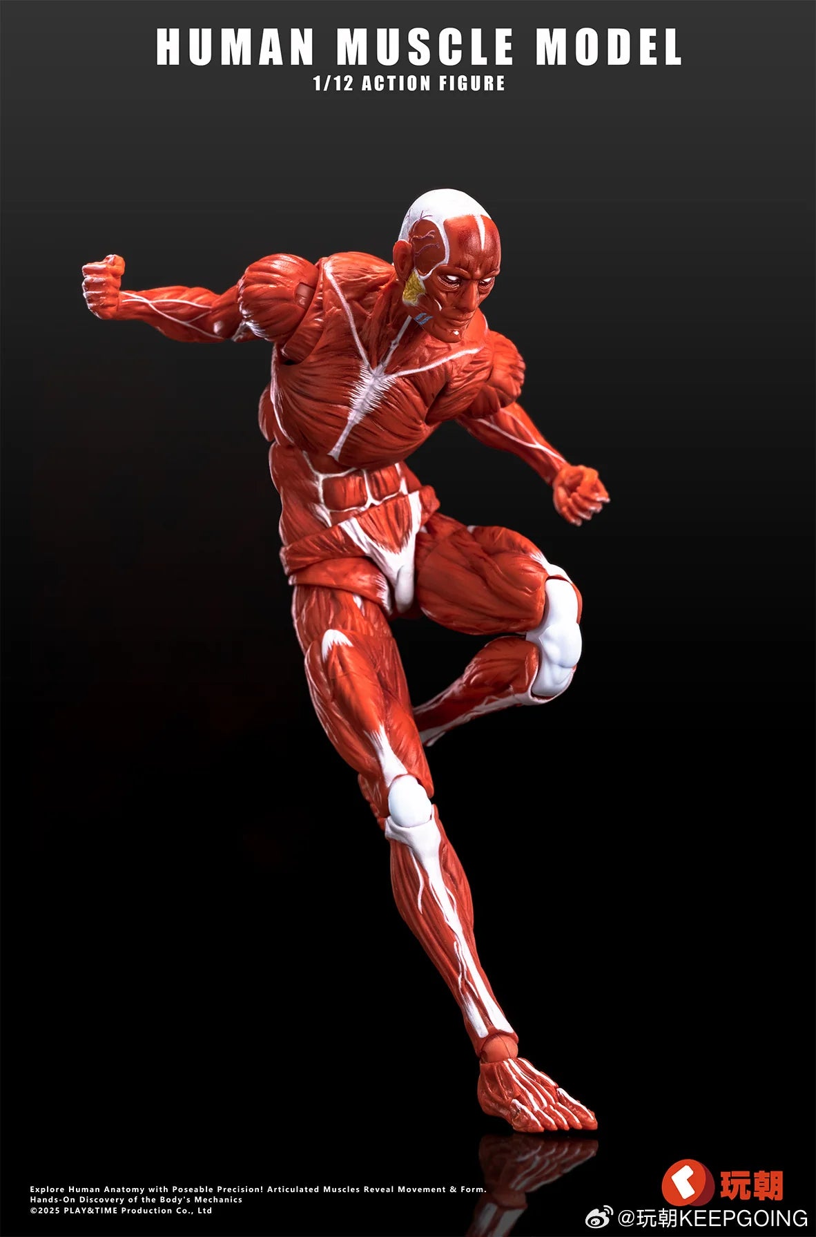 (Pre-Order) Keepgoing Studio 1/12 Human Muscle Model action figure Red and Gray