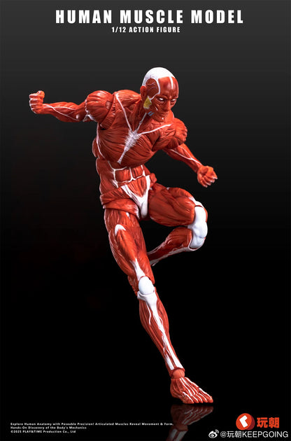 (Pre-Order) Keepgoing Studio 1/12 Human Muscle Model action figure Red and Gray