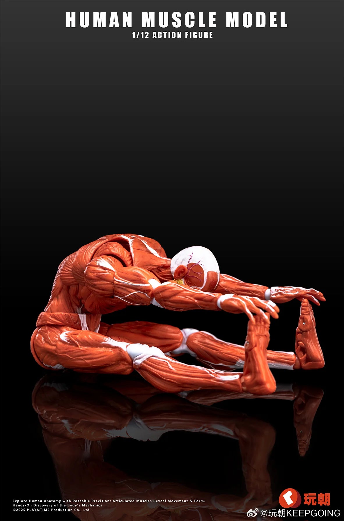 (Pre-Order) Keepgoing Studio 1/12 Human Muscle Model action figure Red and Gray