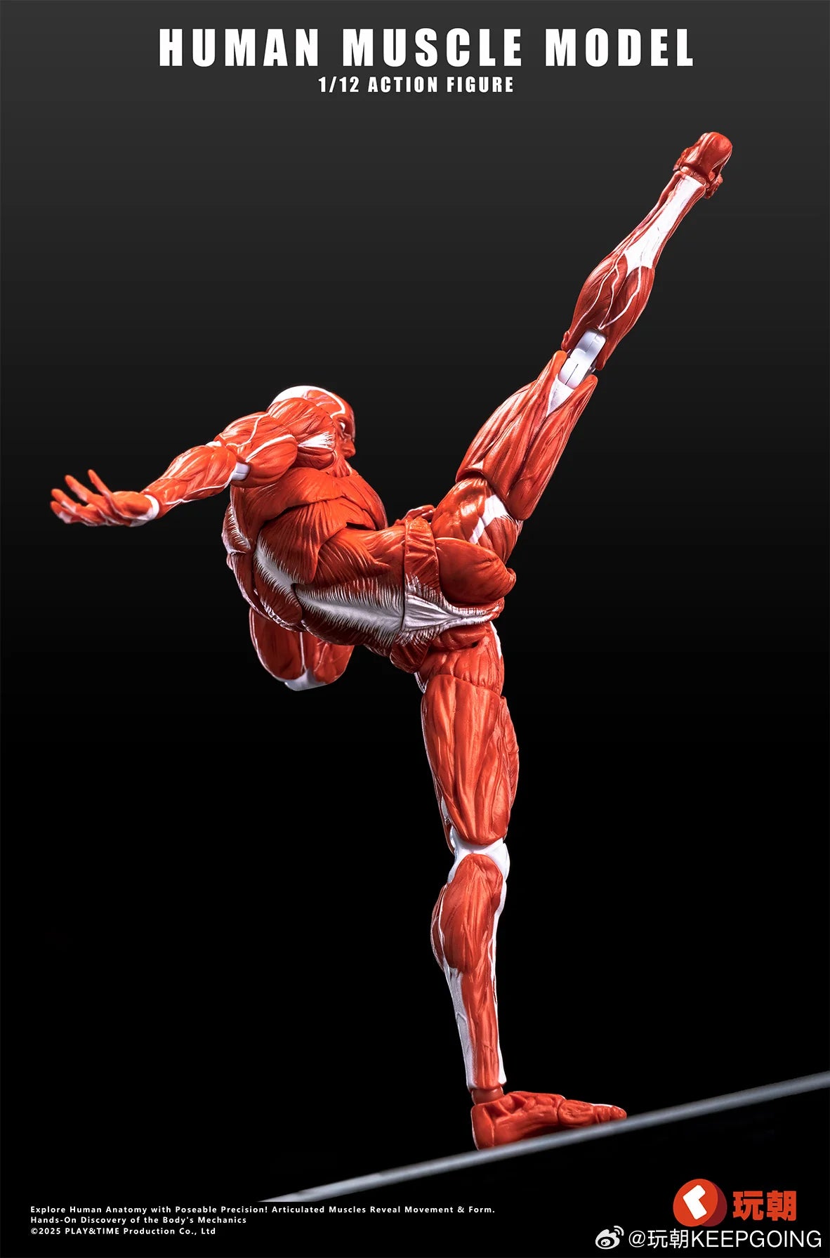 (Pre-Order) Keepgoing Studio 1/12 Human Muscle Model action figure Red and Gray
