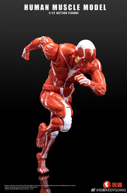 (Pre-Order) Keepgoing Studio 1/12 Human Muscle Model action figure Red and Gray