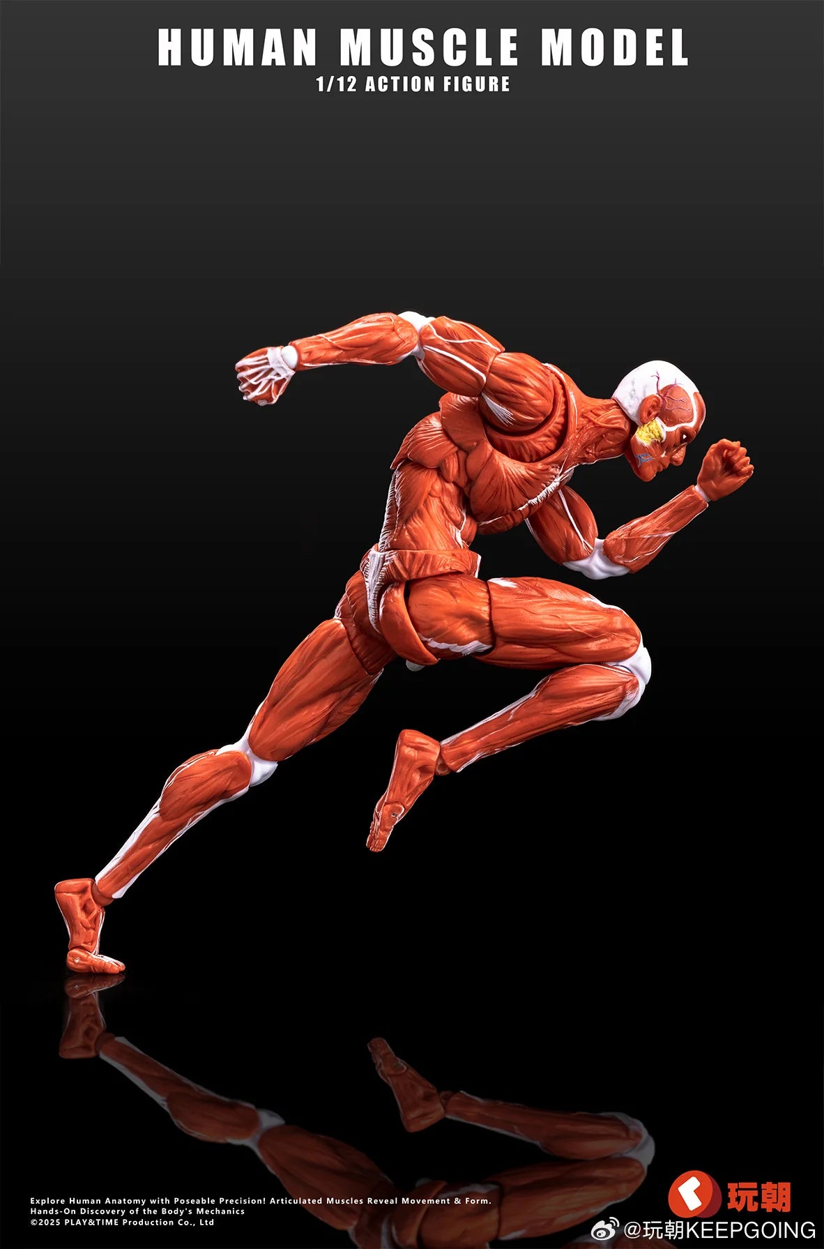 (Pre-Order) Keepgoing Studio 1/12 Human Muscle Model action figure Red and Gray